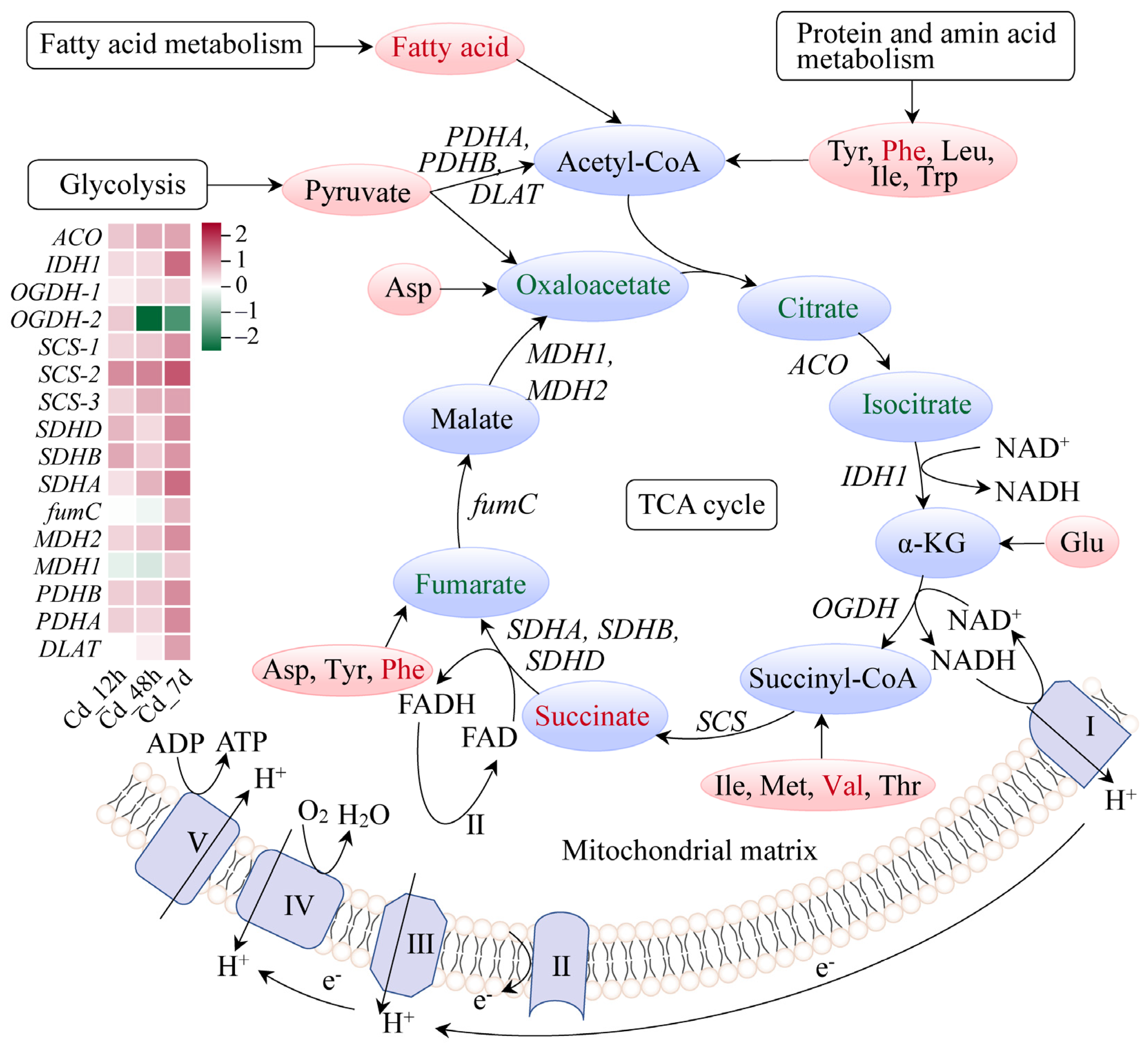 Animals 14 00561 g007