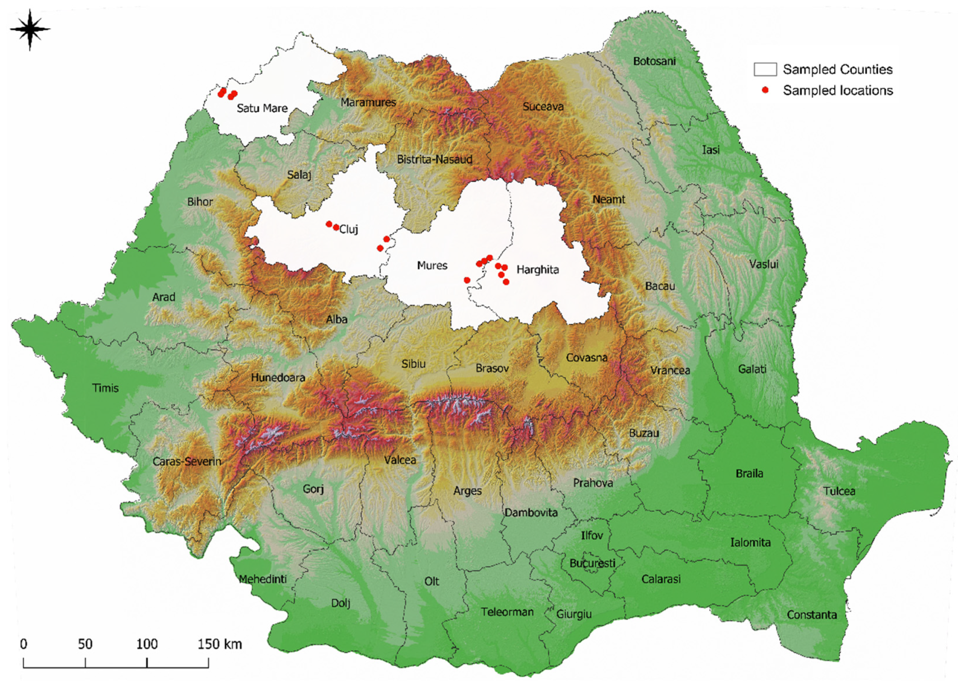 Animals 14 00563 g001