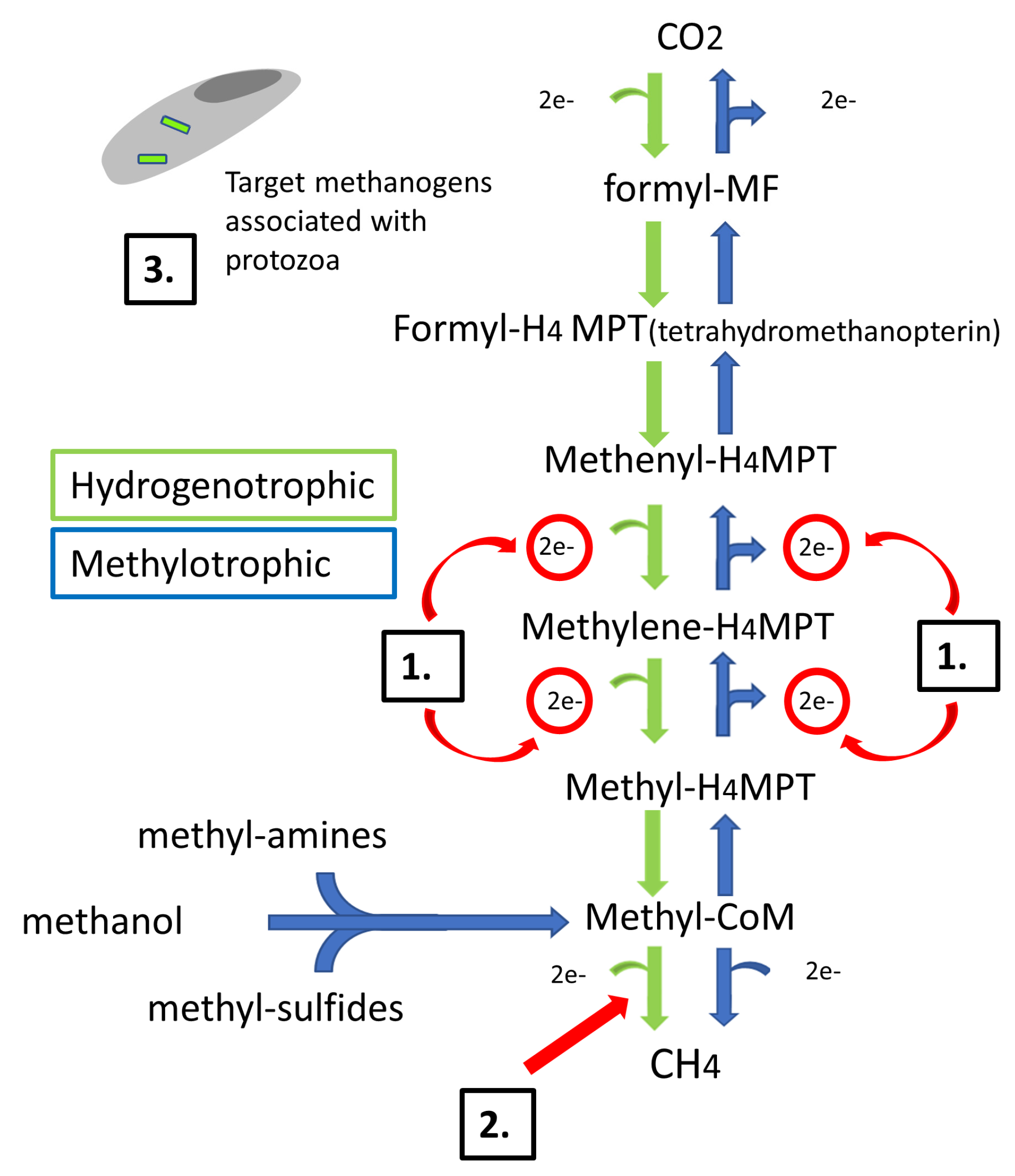Animals 14 00568 g001 Animals 14 00568 g001