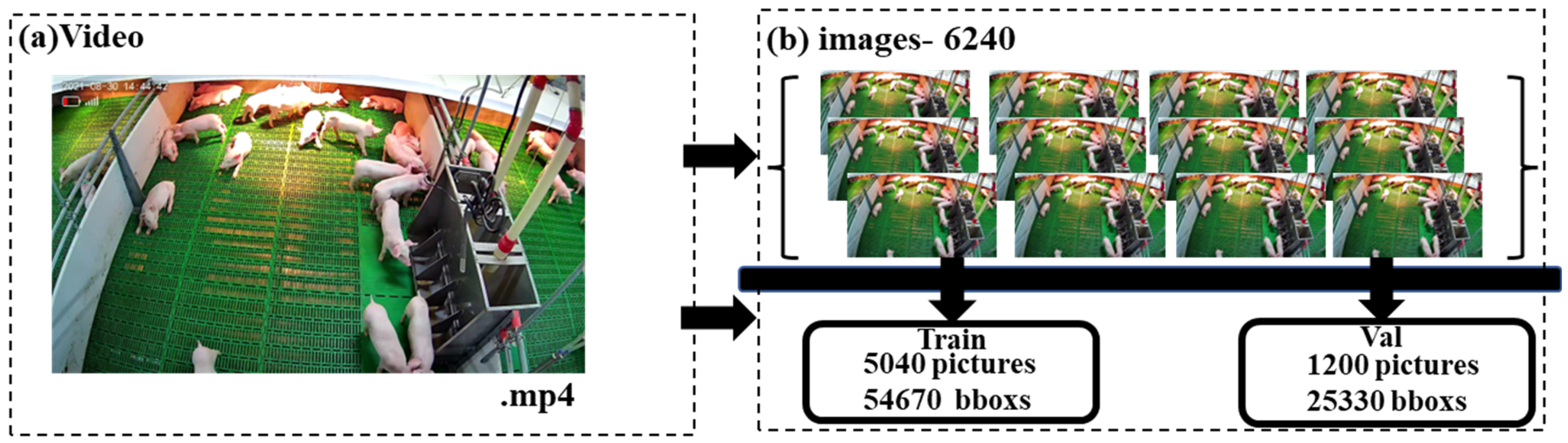 Animals 14 00569 g003