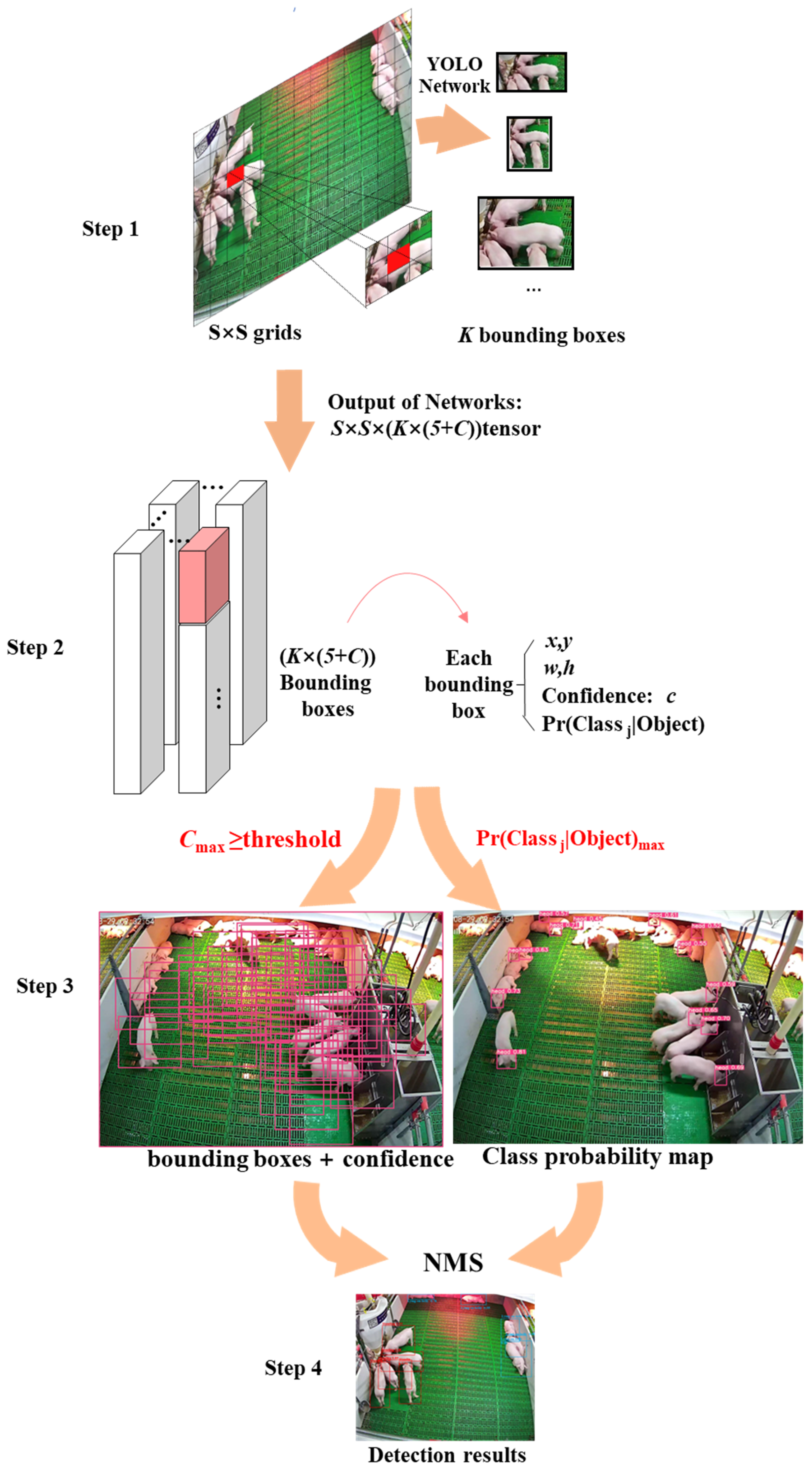 Animals 14 00569 g007