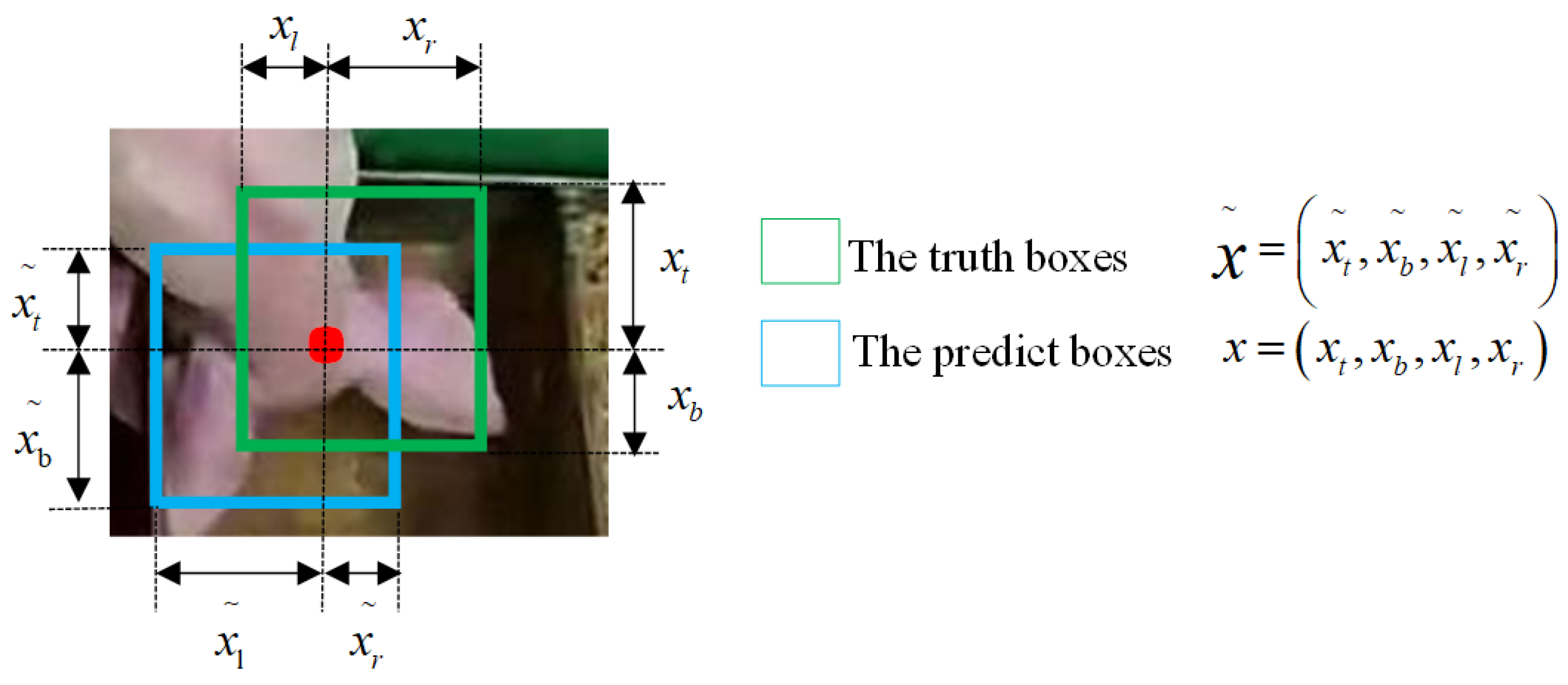 Animals 14 00569 g008