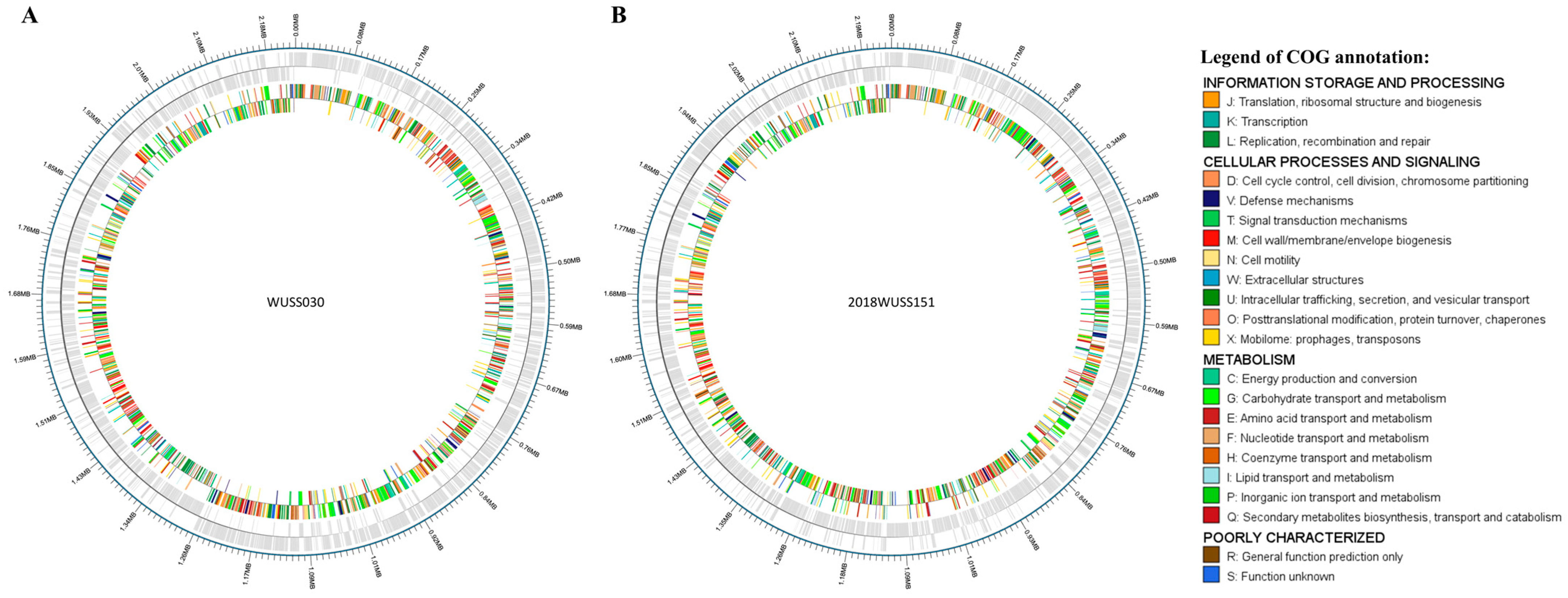 Animals 14 00572 g001 Animals 14 00572 g001