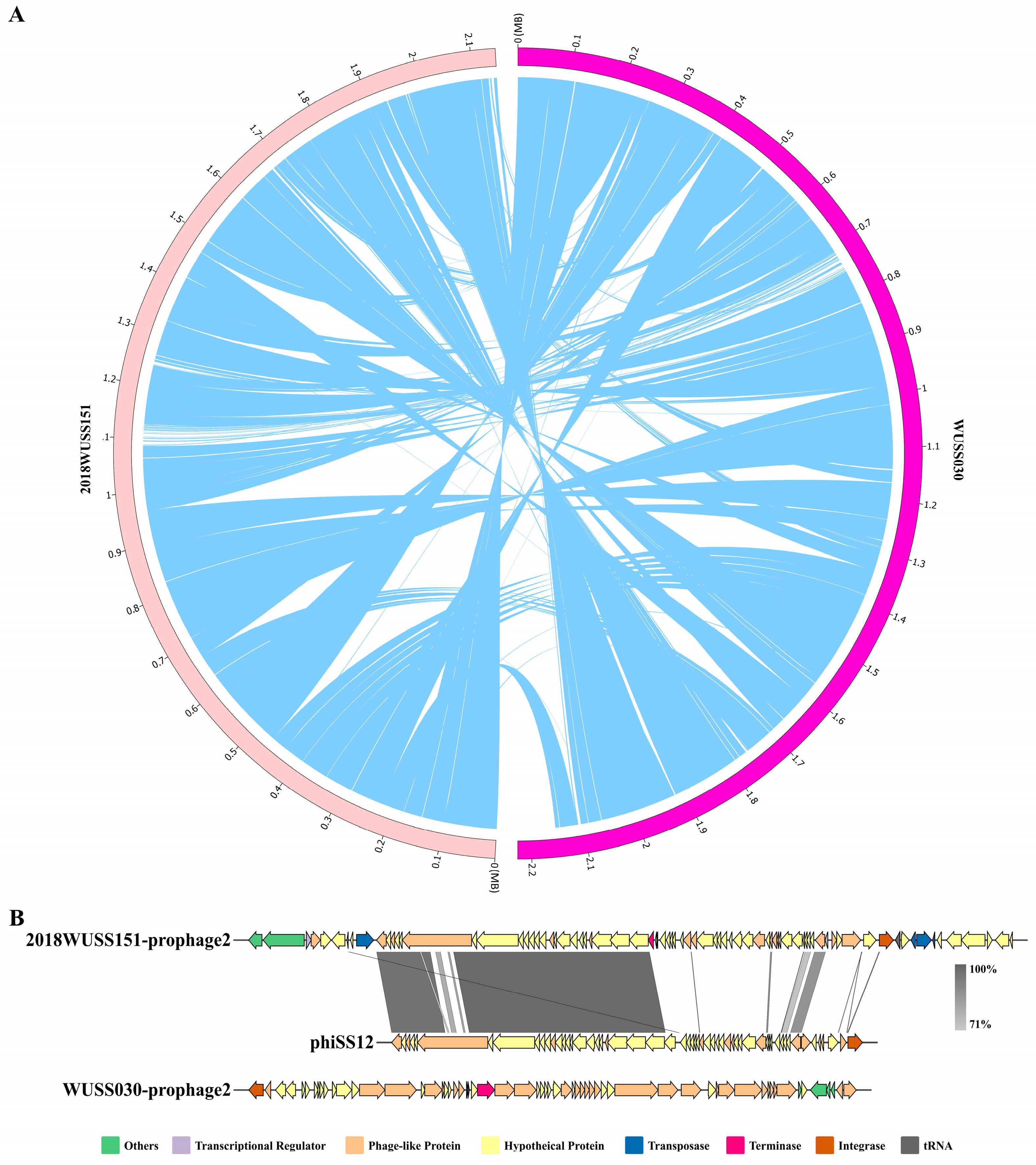 Animals 14 00572 g002 Animals 14 00572 g002