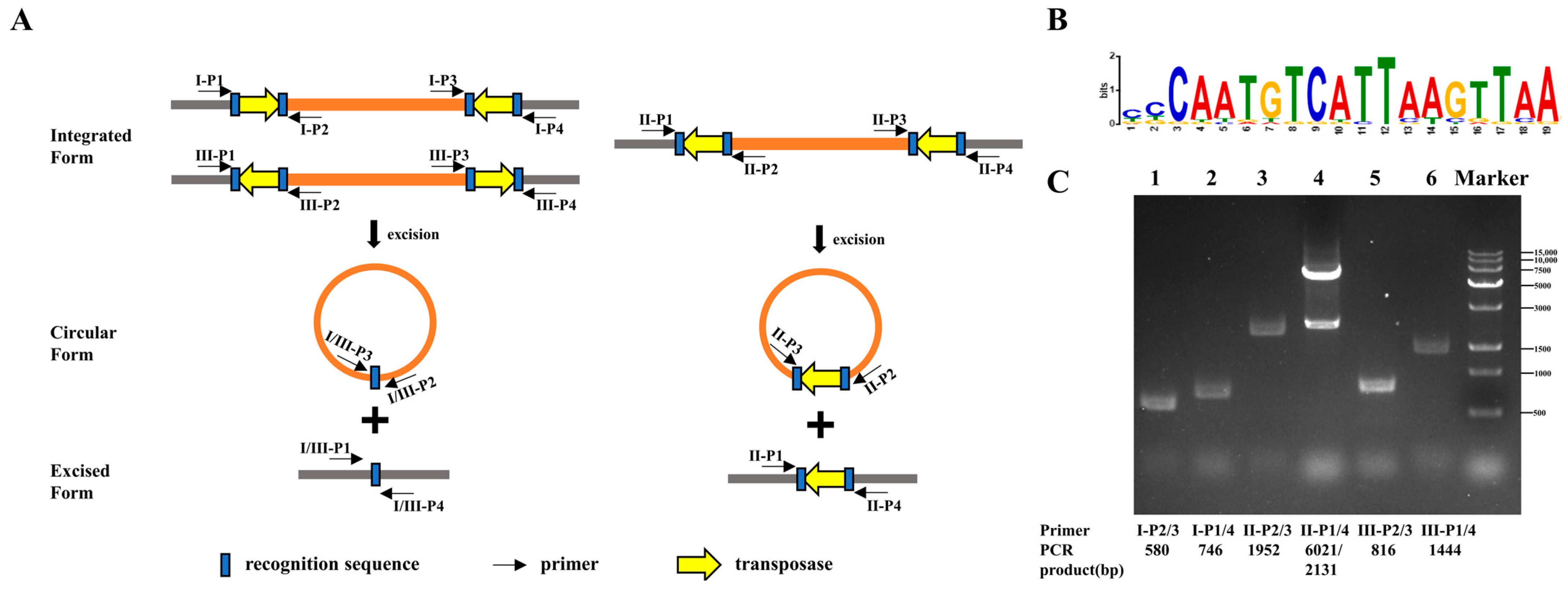 Animals 14 00572 g003 Animals 14 00572 g003