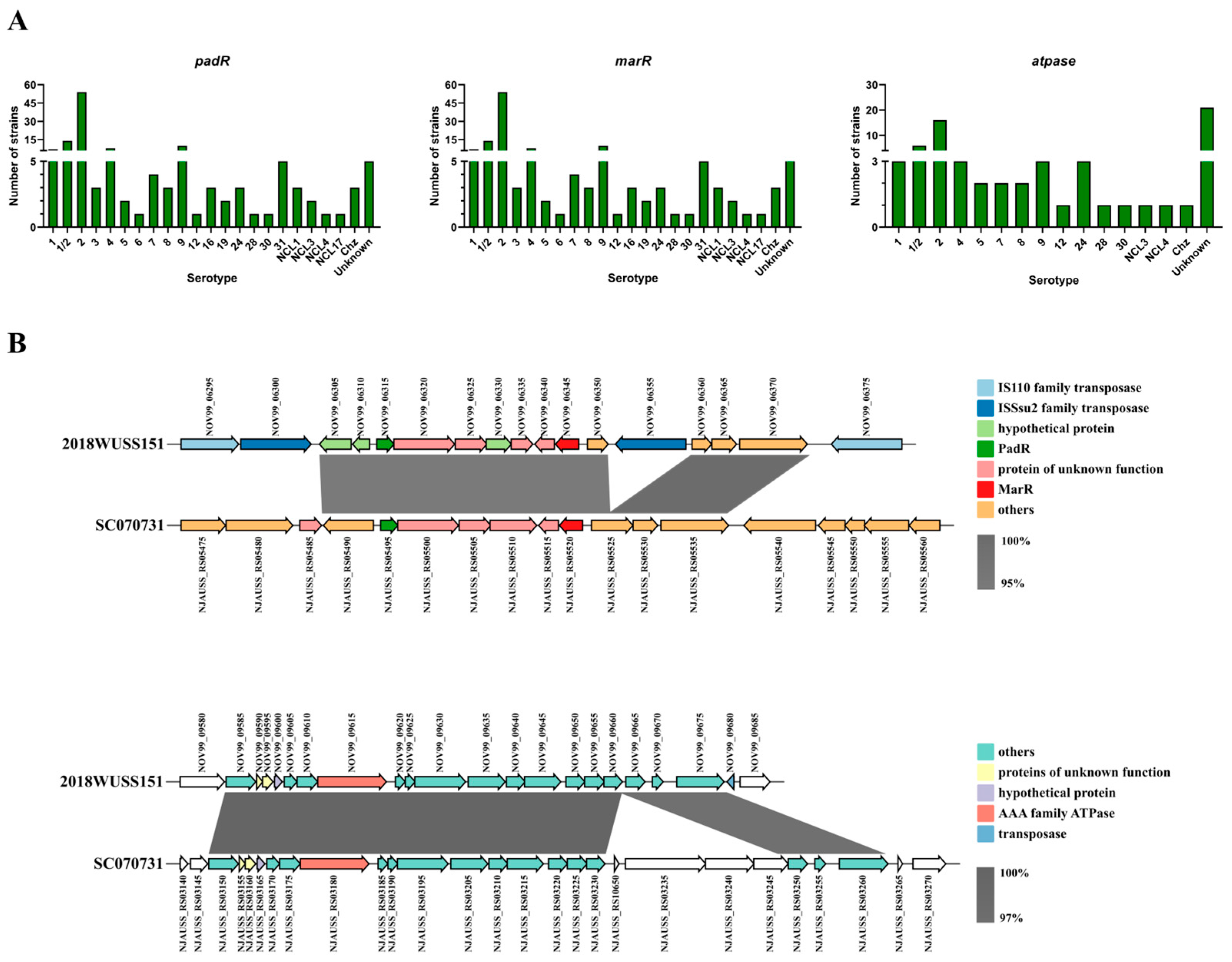 Animals 14 00572 g004 Animals 14 00572 g004