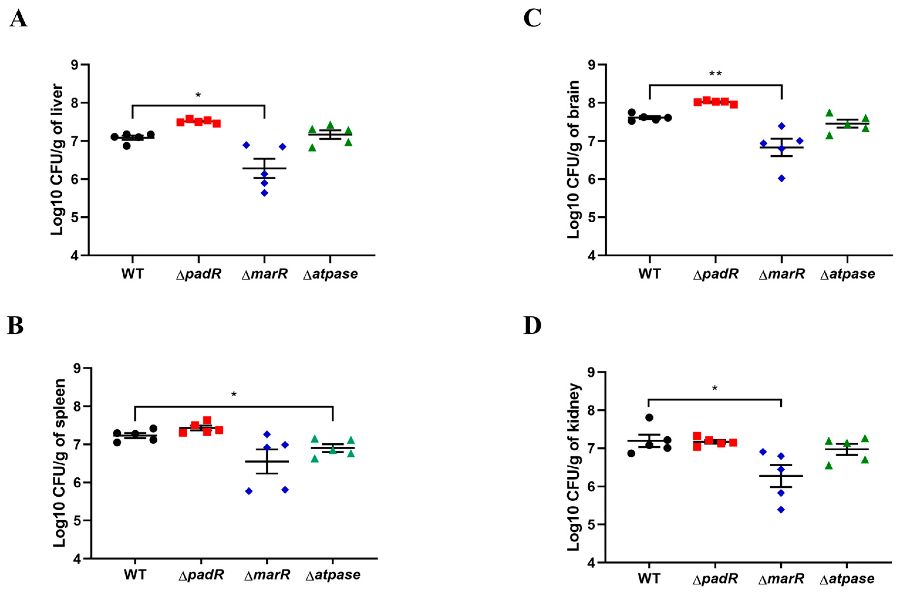 Animals 14 00572 g005 Animals 14 00572 g005