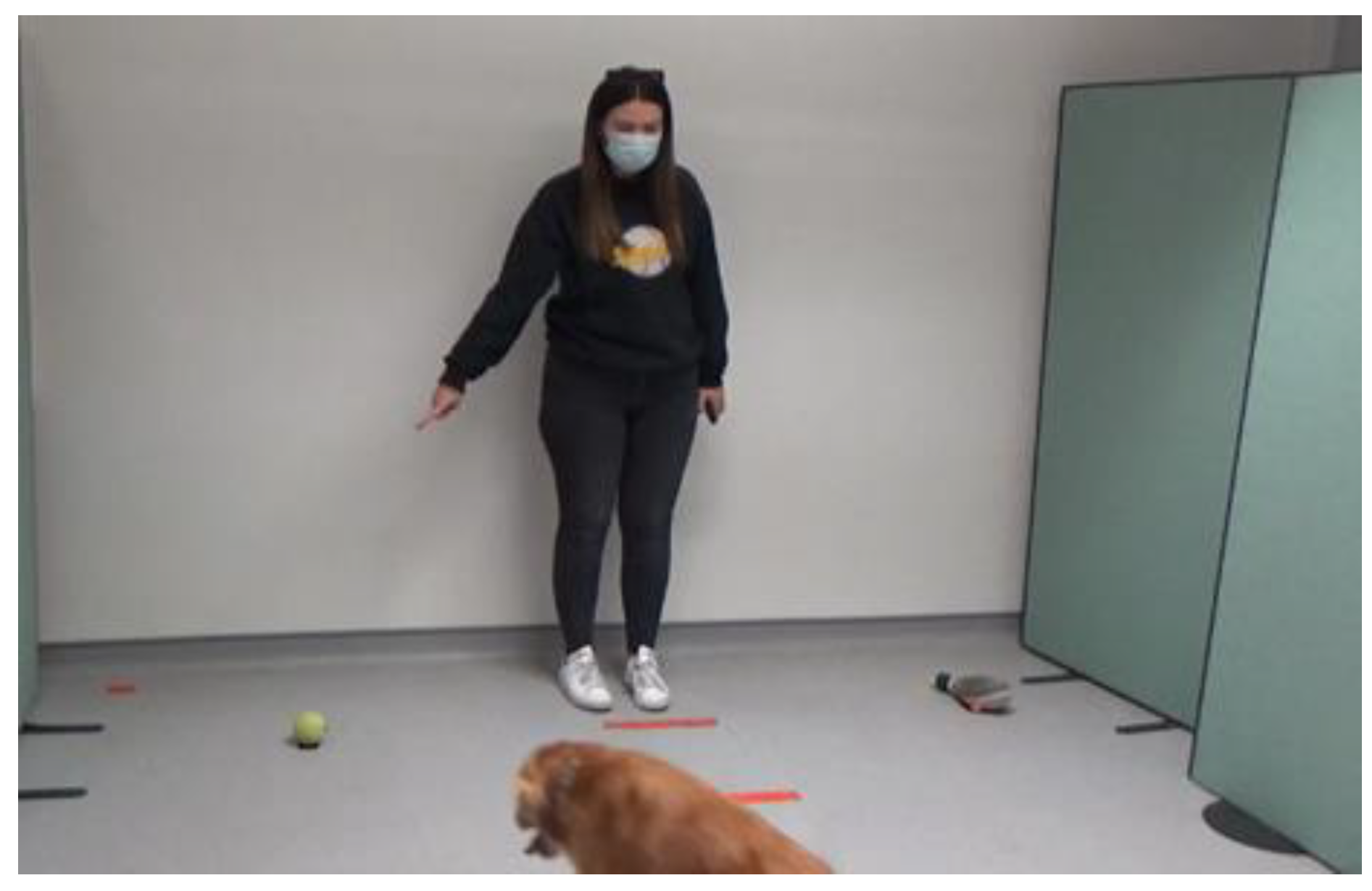 Animals 14 00573 g002