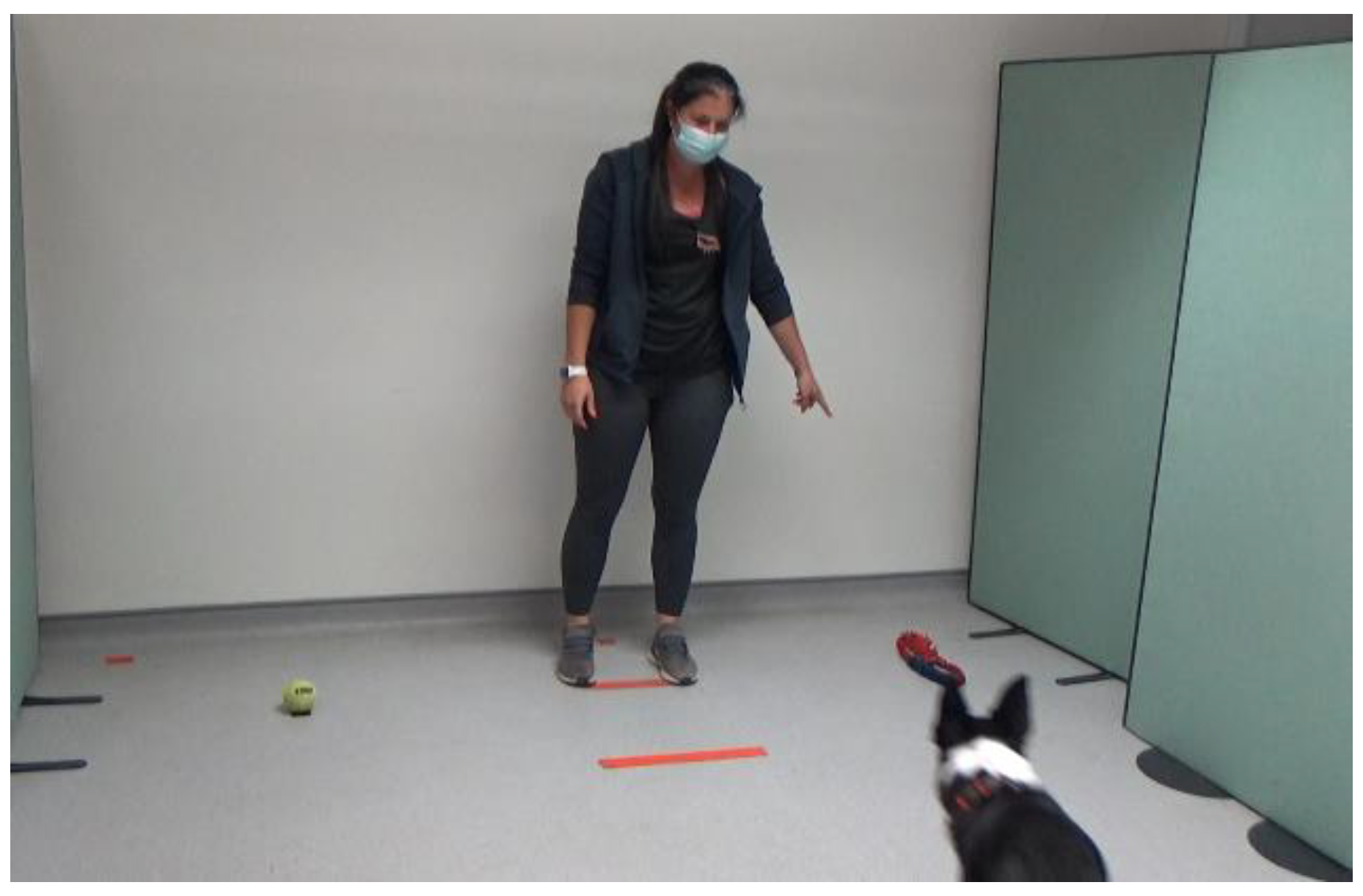 Animals 14 00573 g003