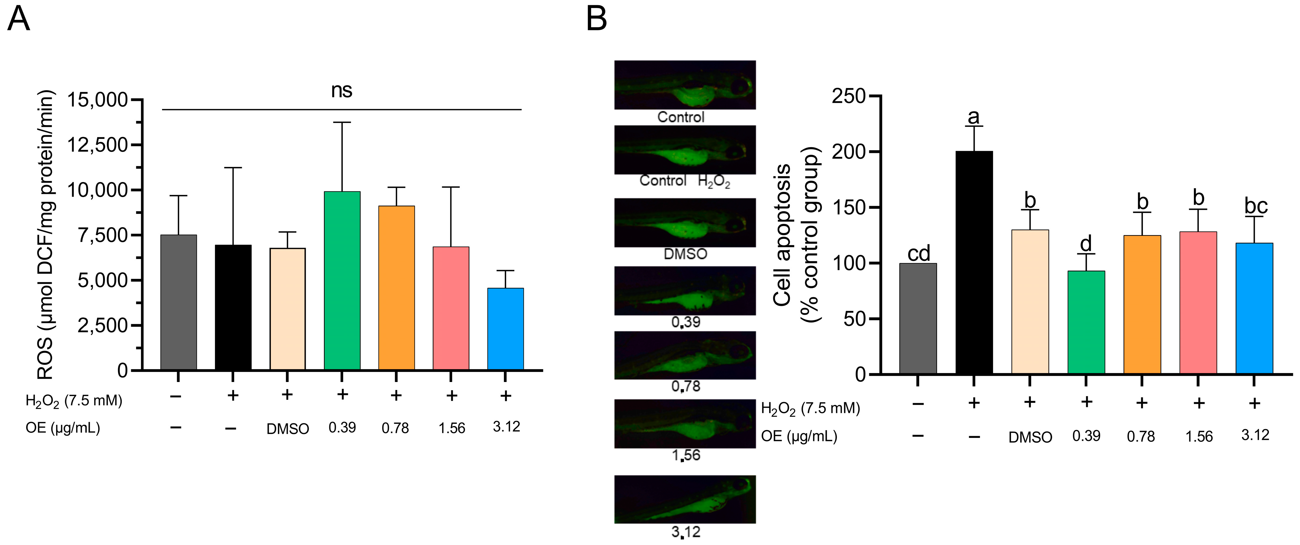 Animals 14 00581 g005