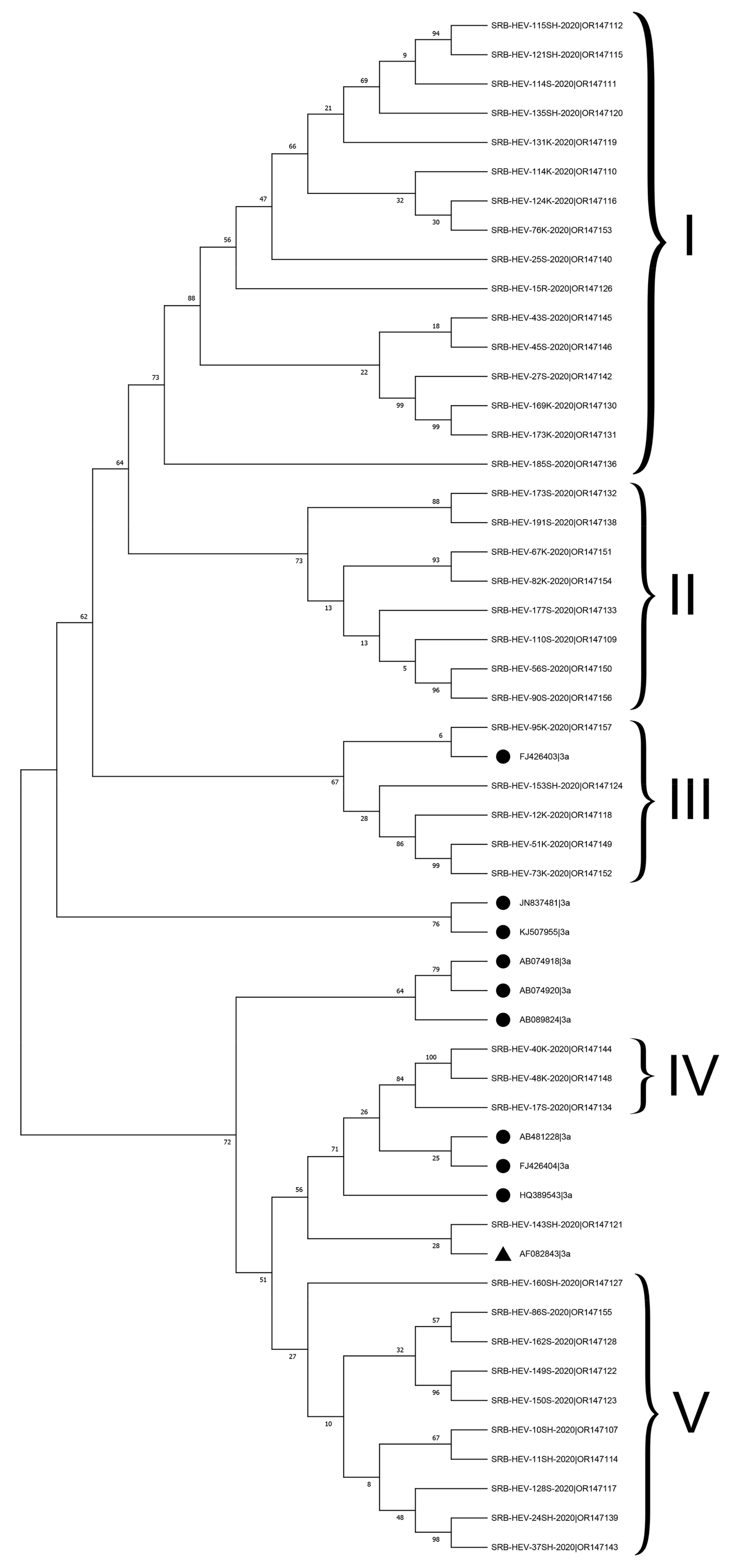 Animals 14 00586 g001