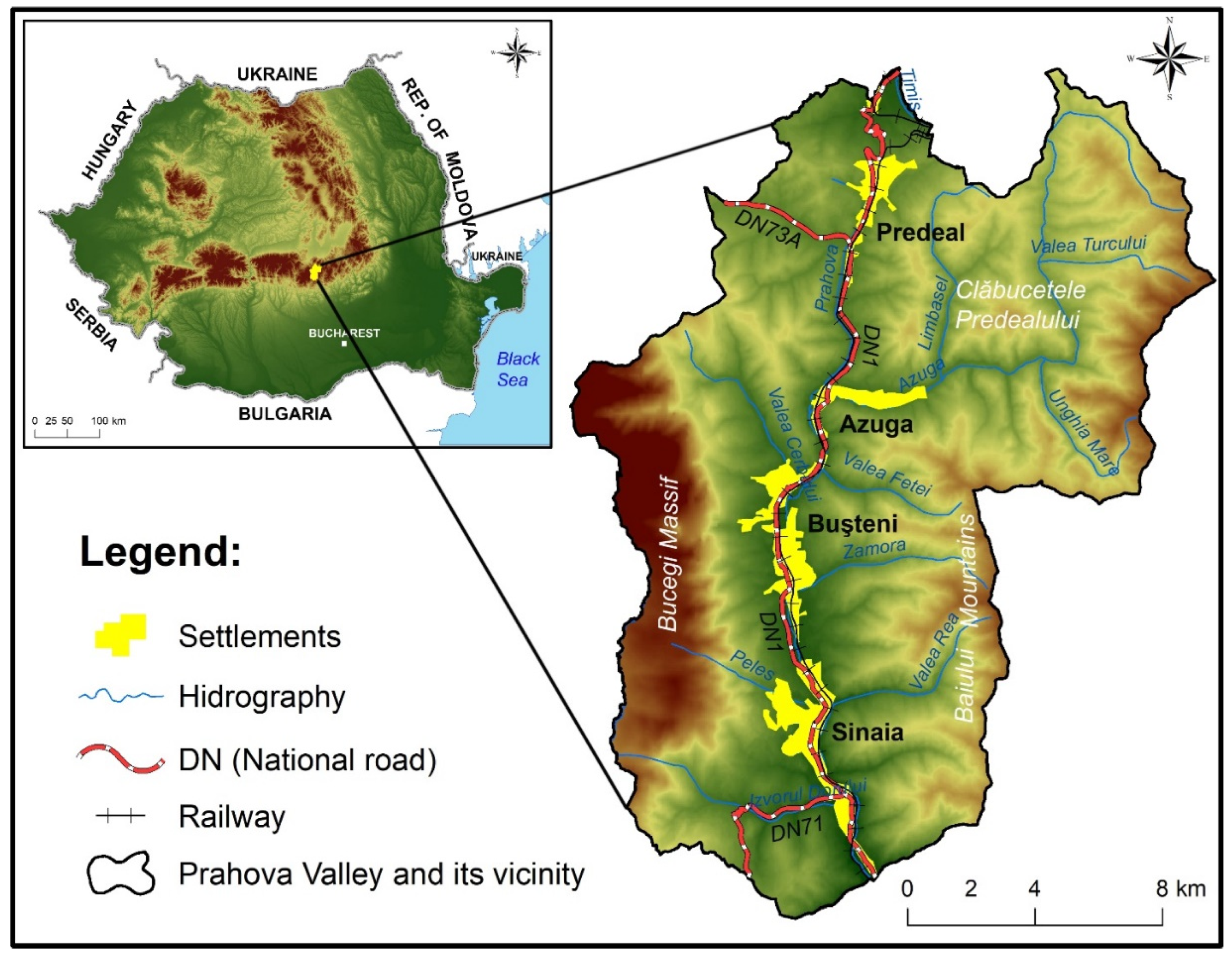 Animals 14 00587 g001 Animals 14 00587 g001