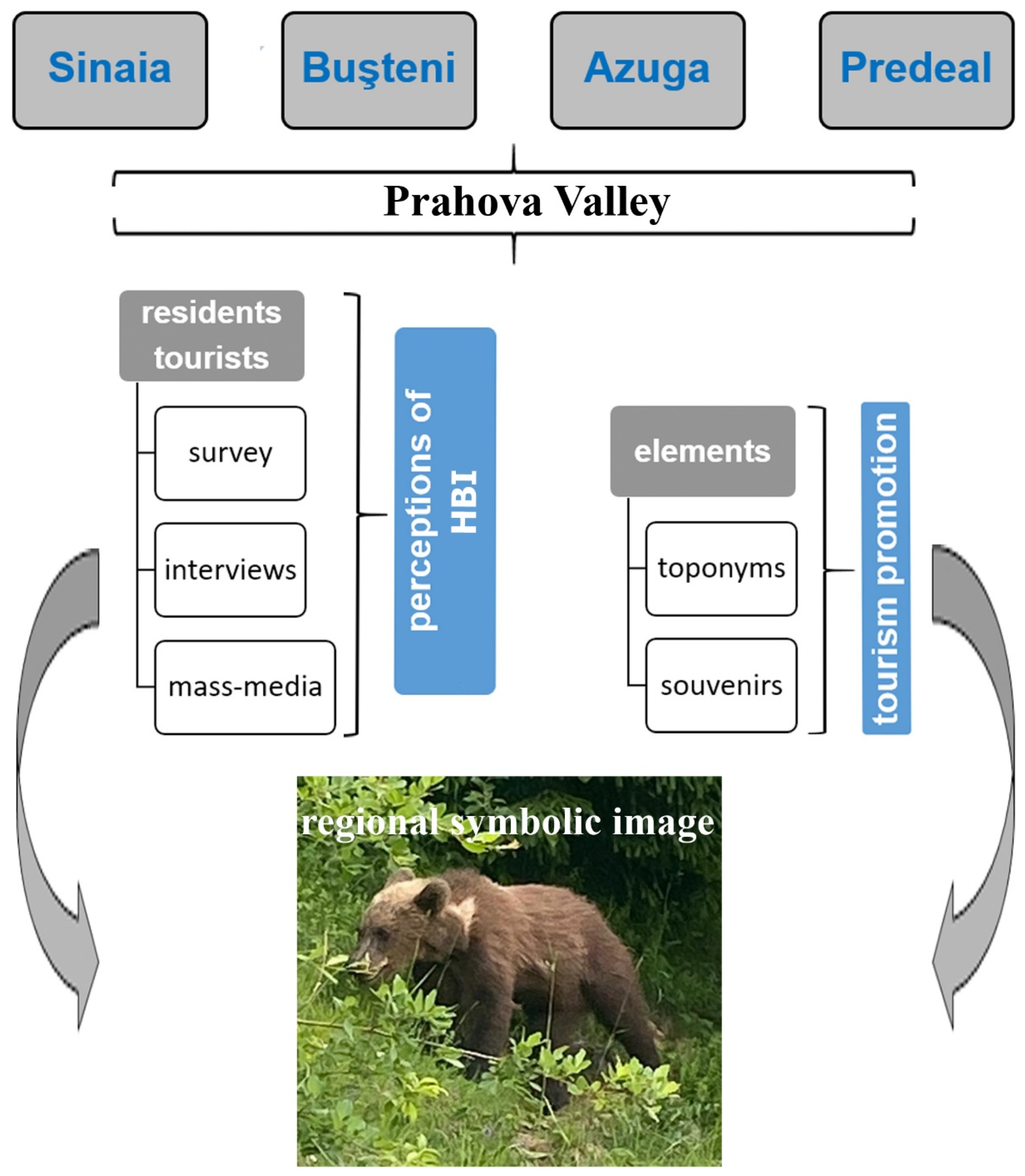 Animals 14 00587 g002 Animals 14 00587 g002