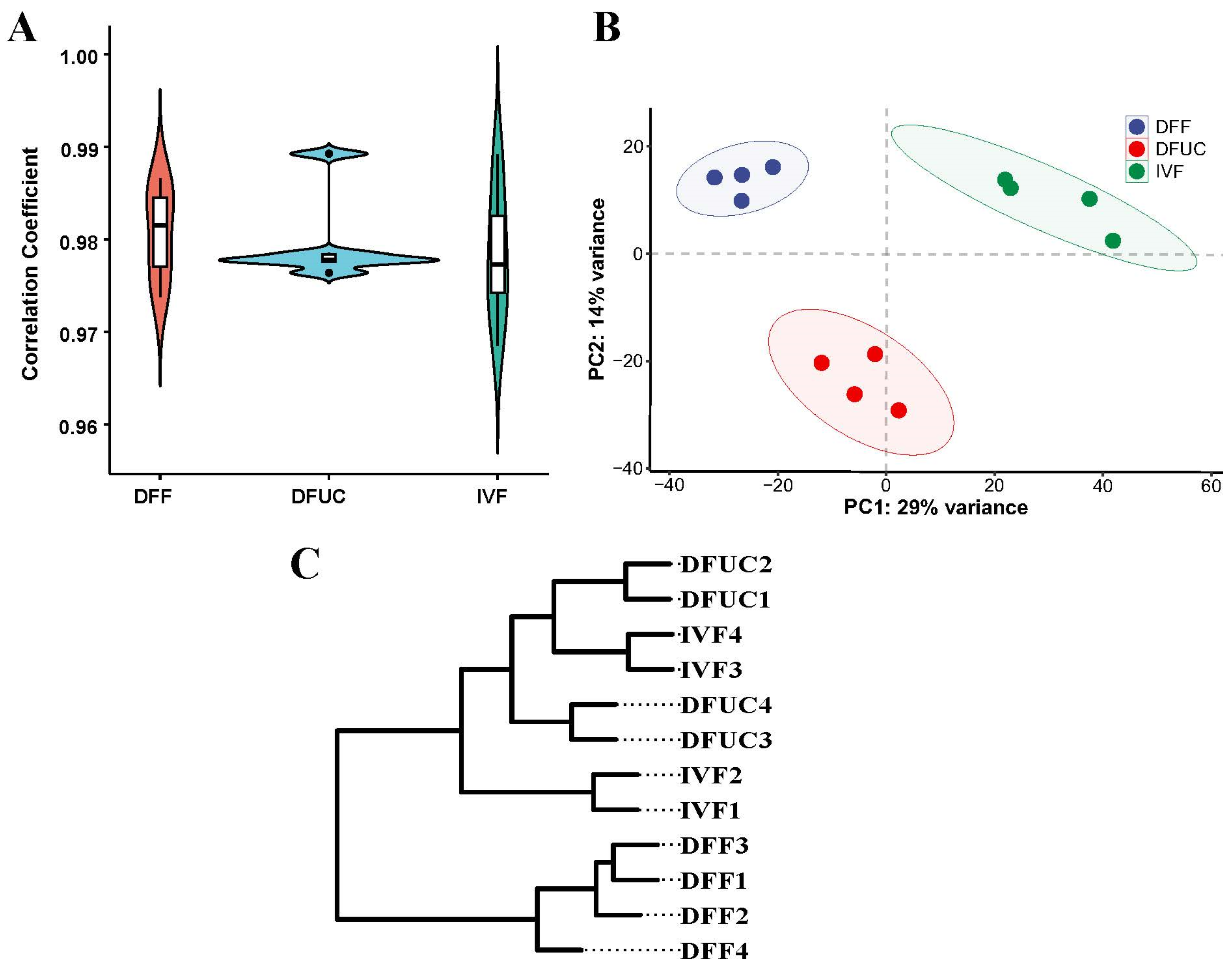 Animals 14 00589 g002