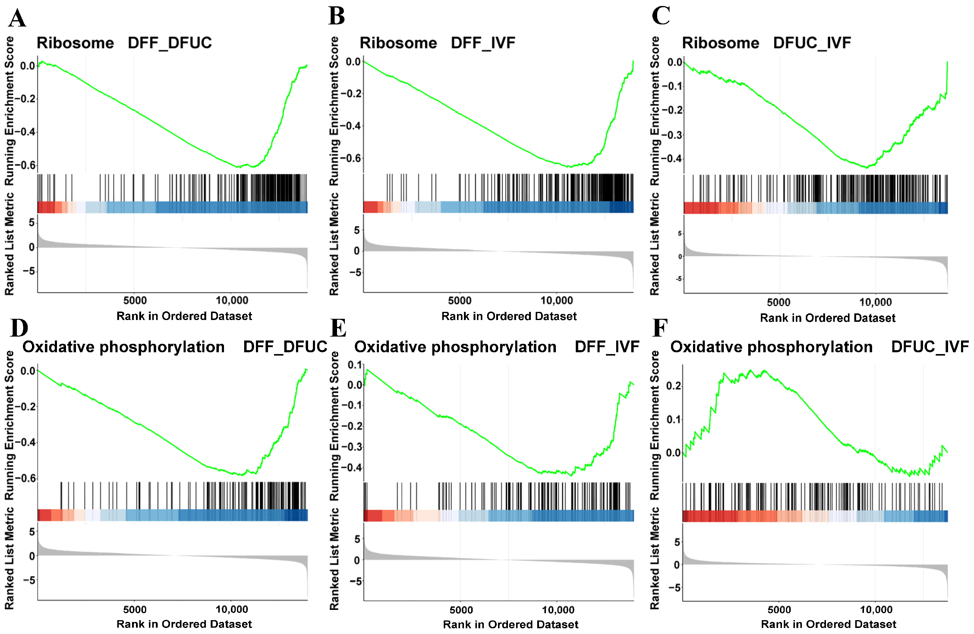 Animals 14 00589 g007
