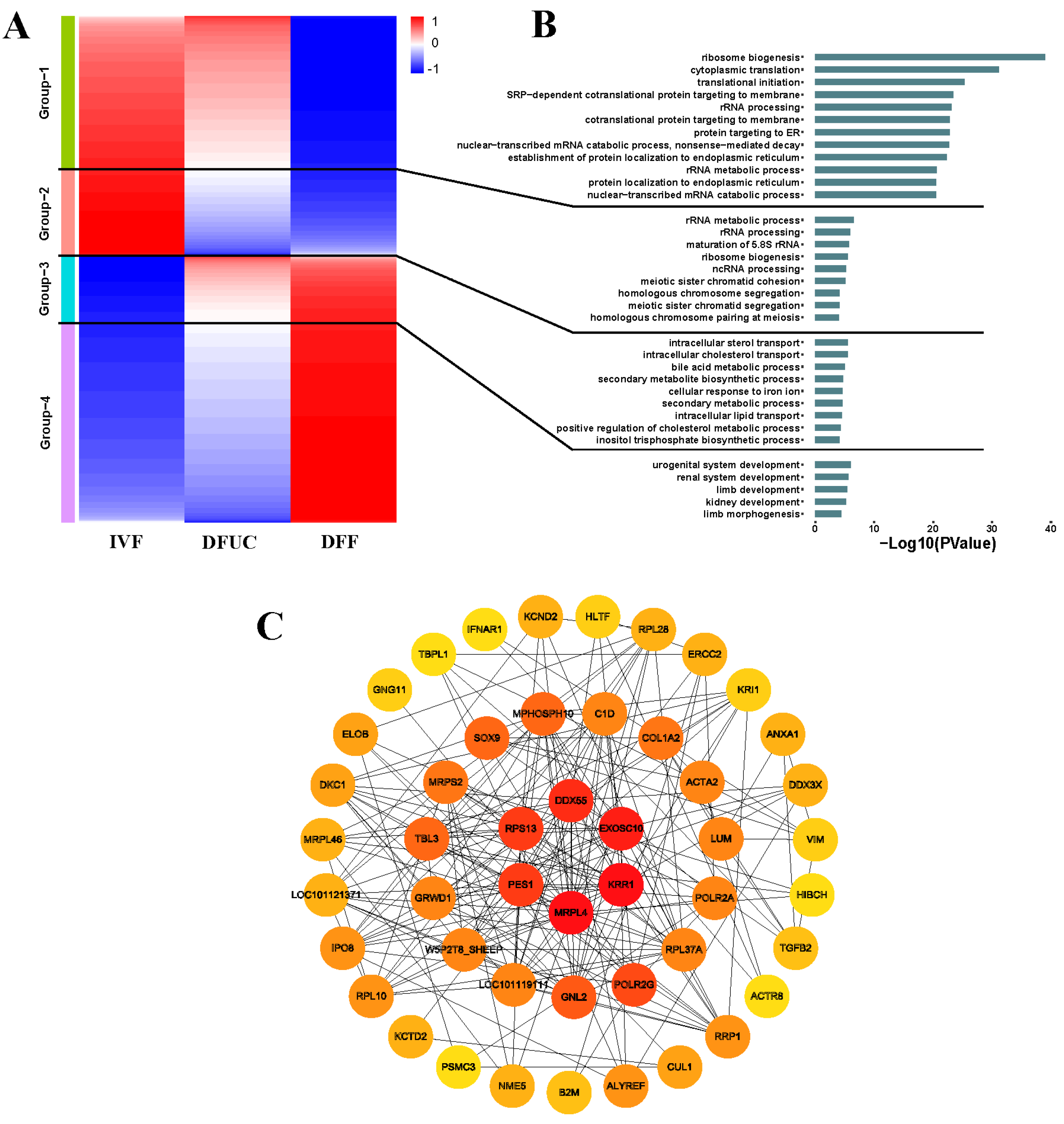 Animals 14 00589 g008