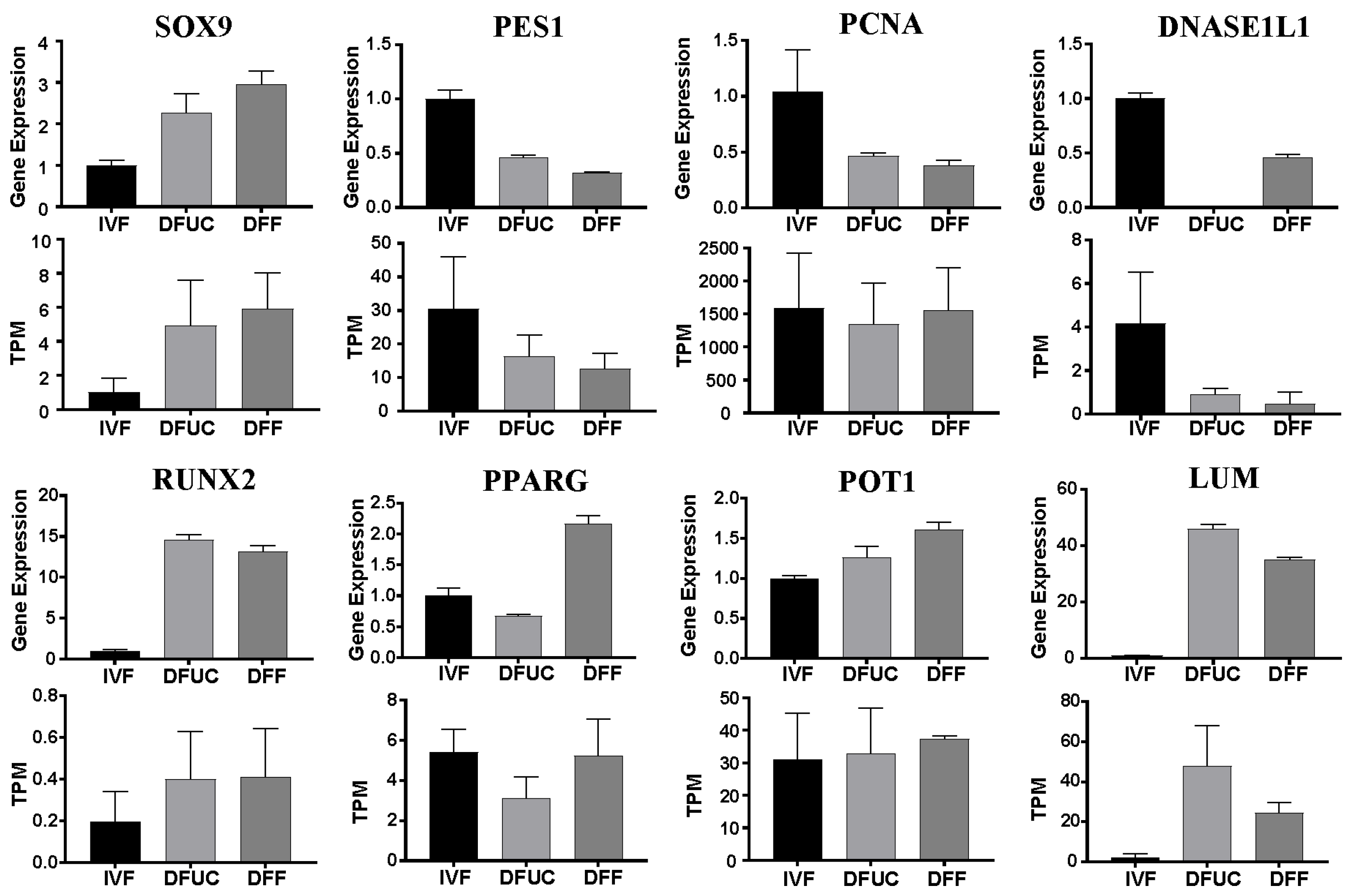 Animals 14 00589 g011
