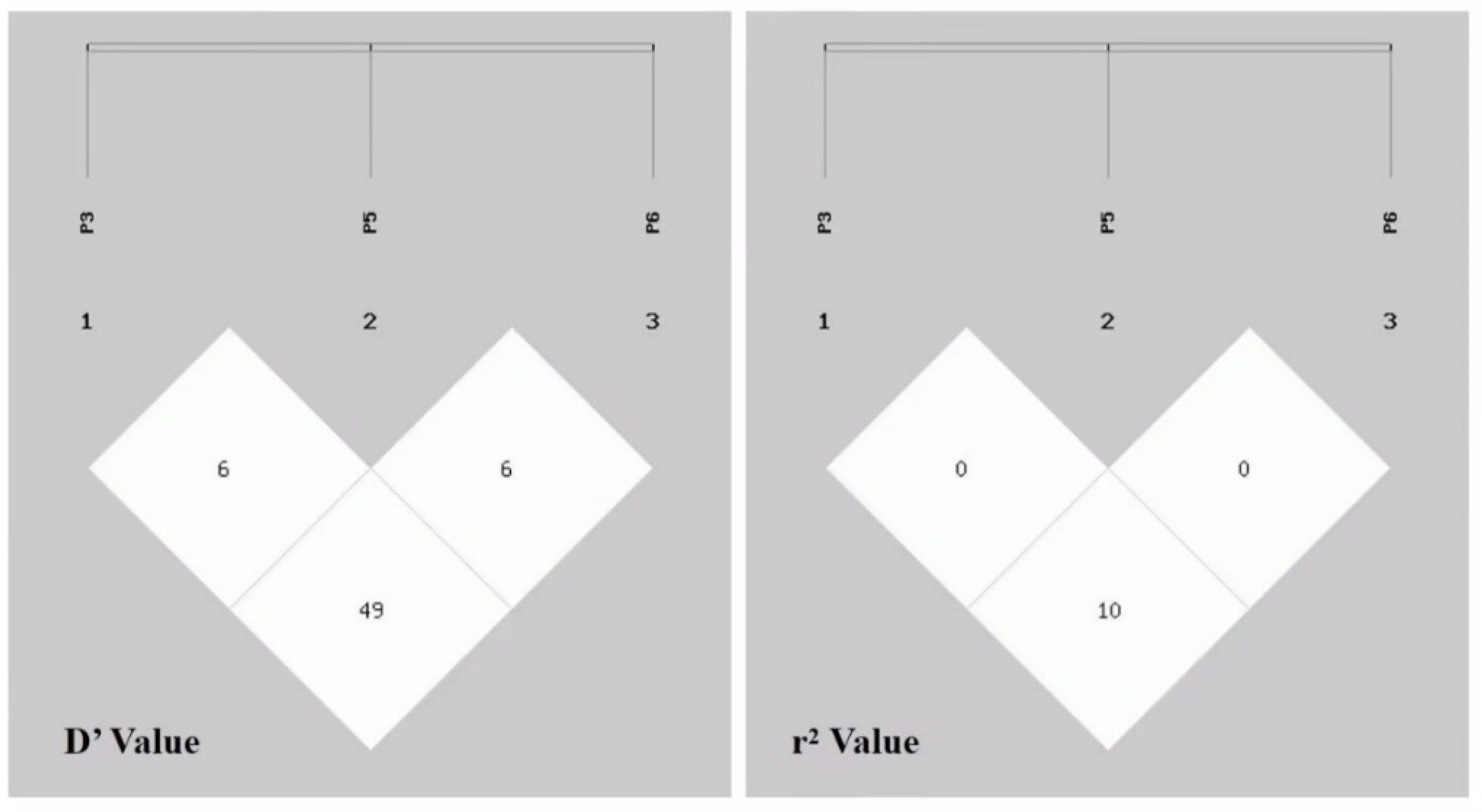 Animals 14 00591 g003