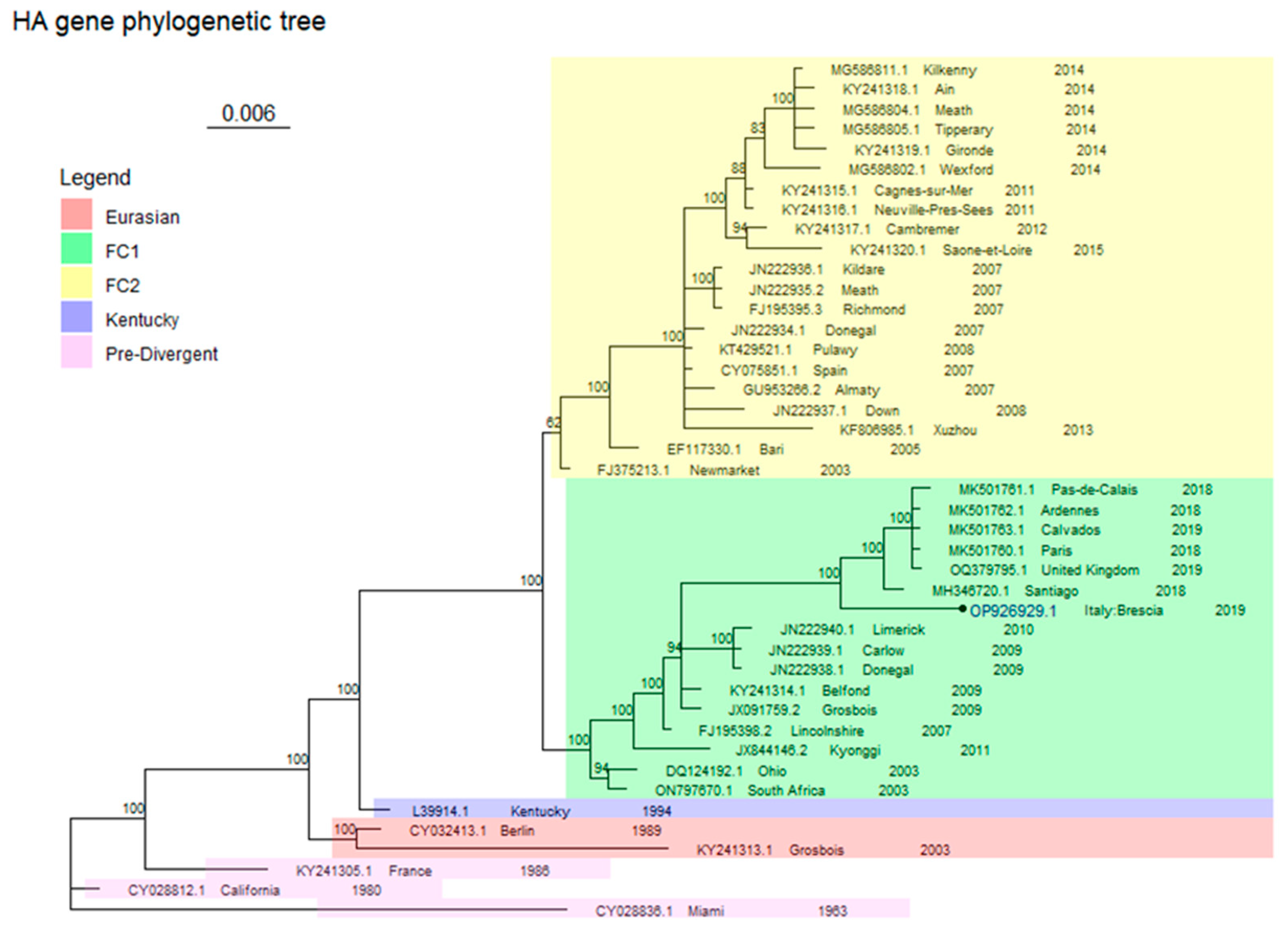 Animals 14 00598 g001