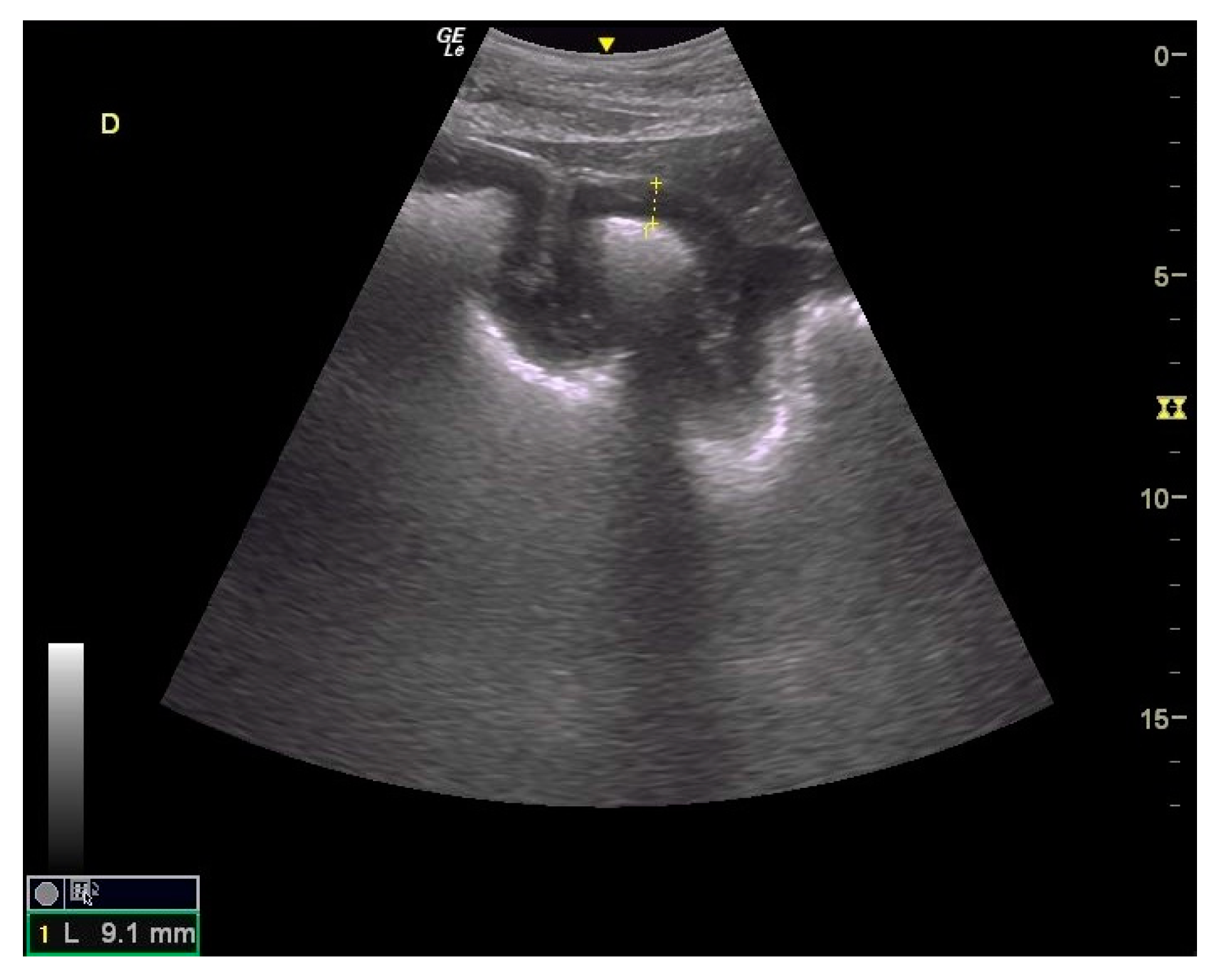 Animals 14 00599 g006