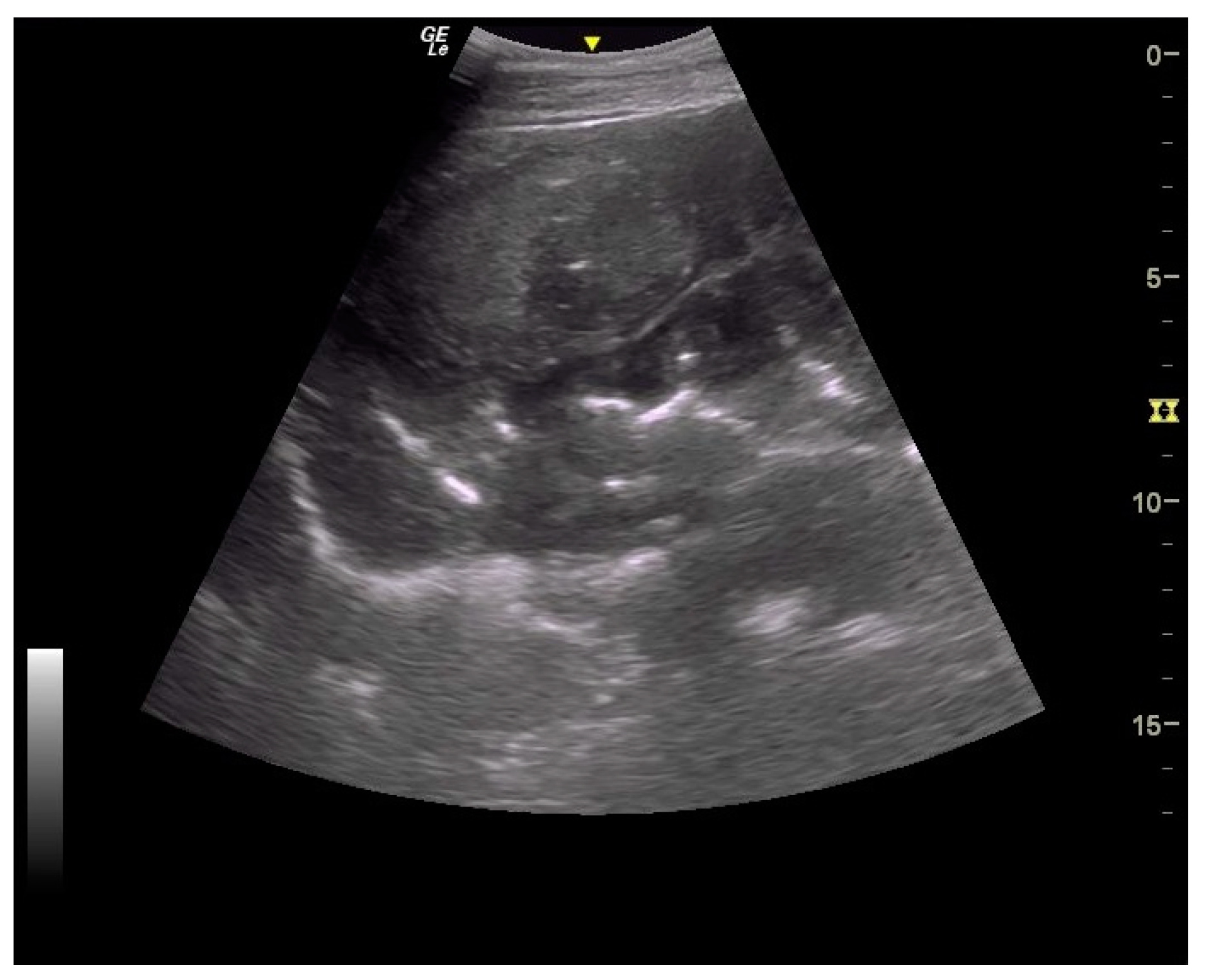 Animals 14 00599 g007