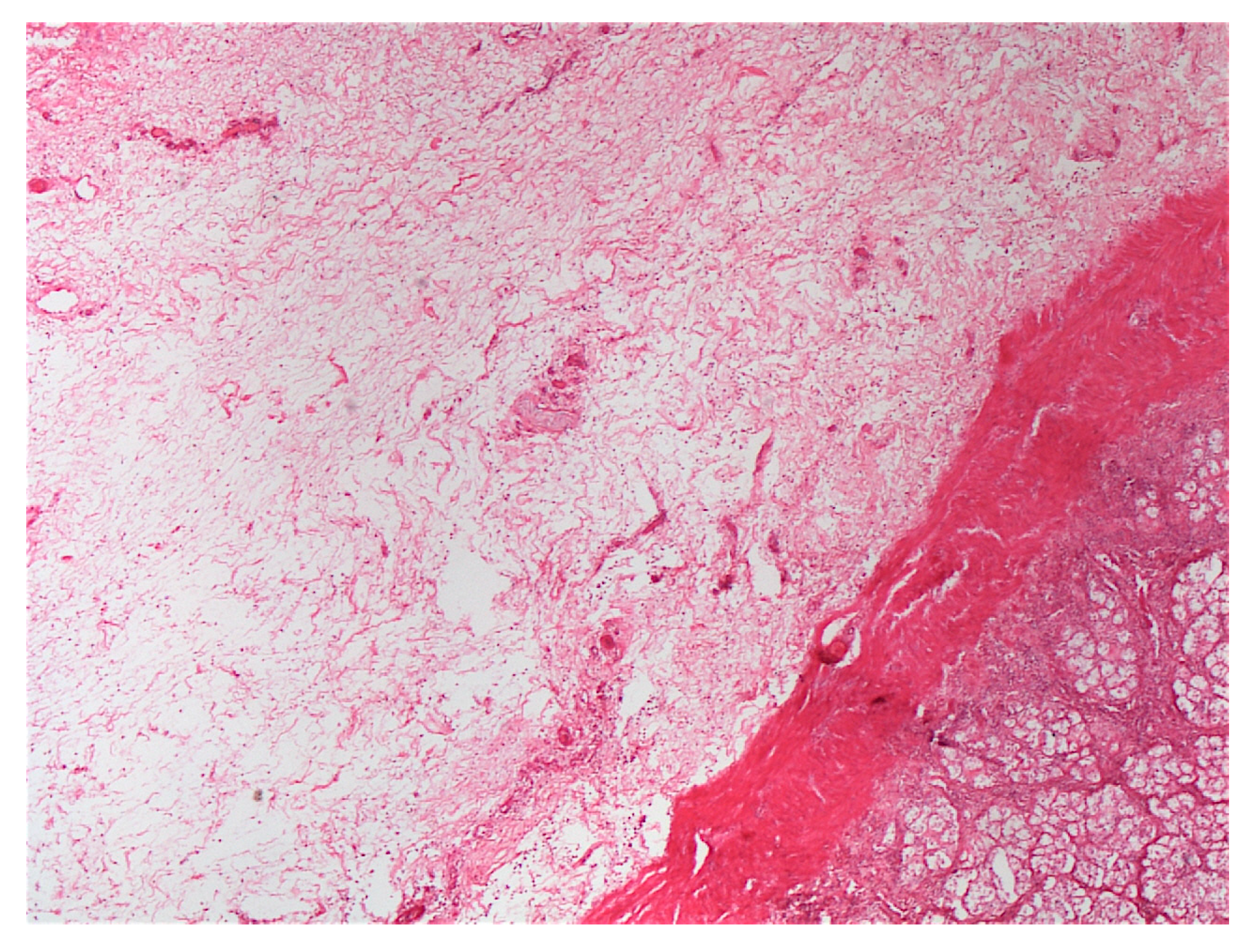 Animals 14 00599 g012