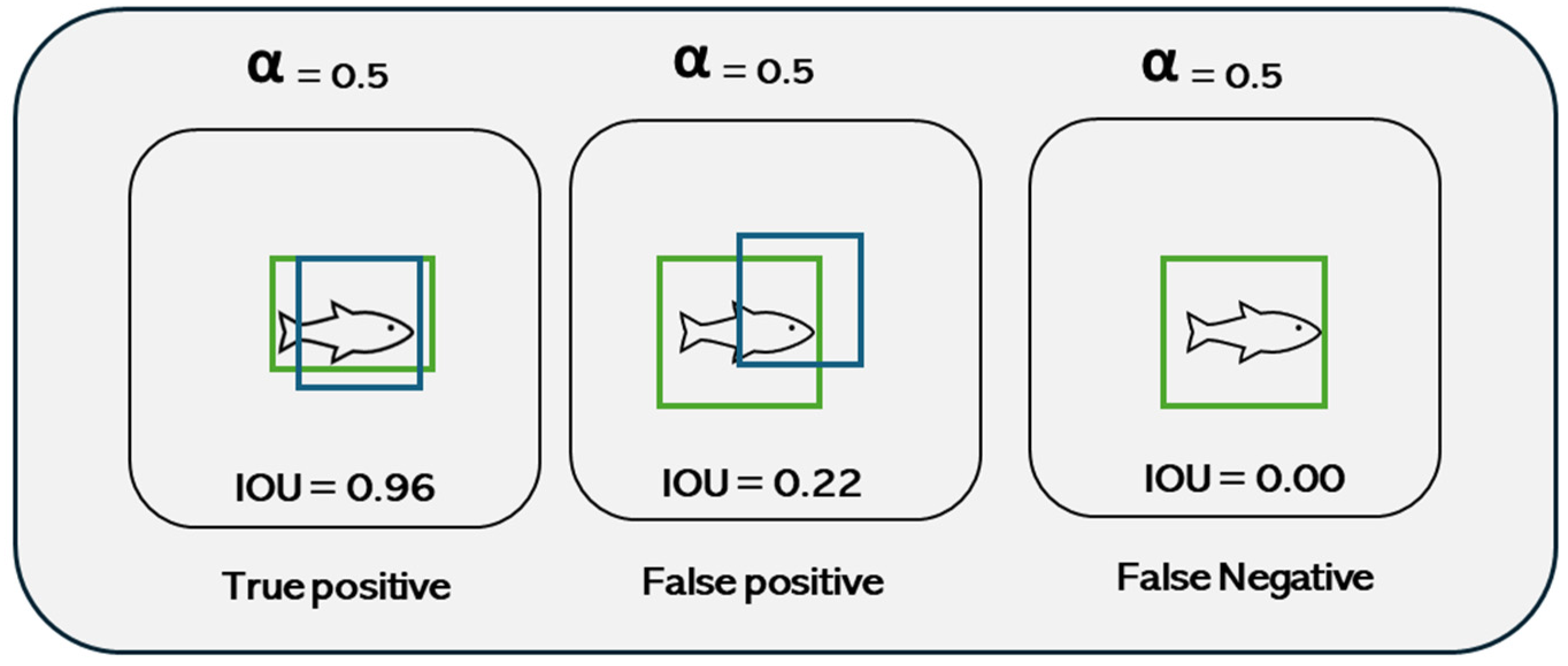 Animals 14 00606 g005