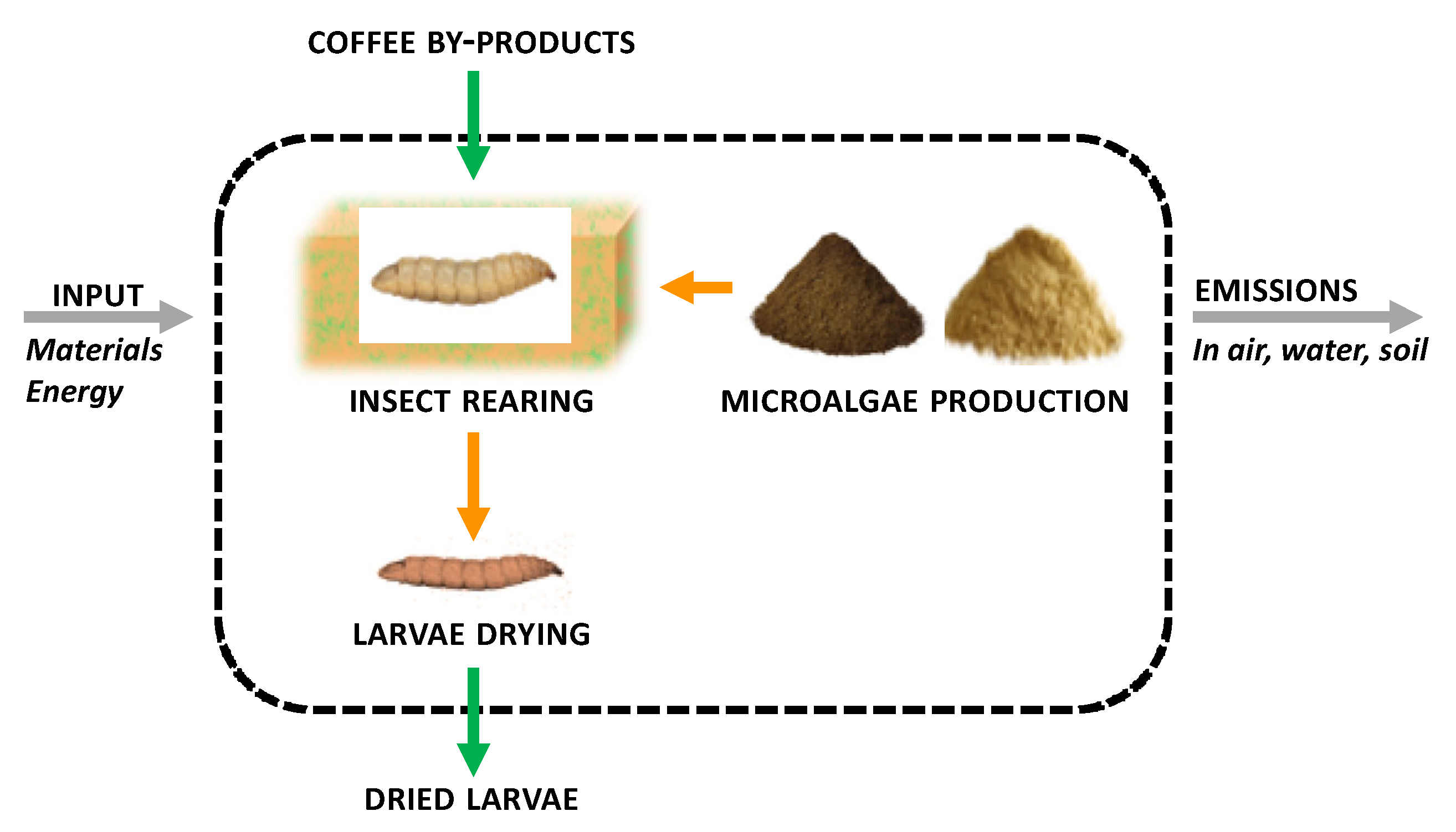 Animals 14 00609 g001