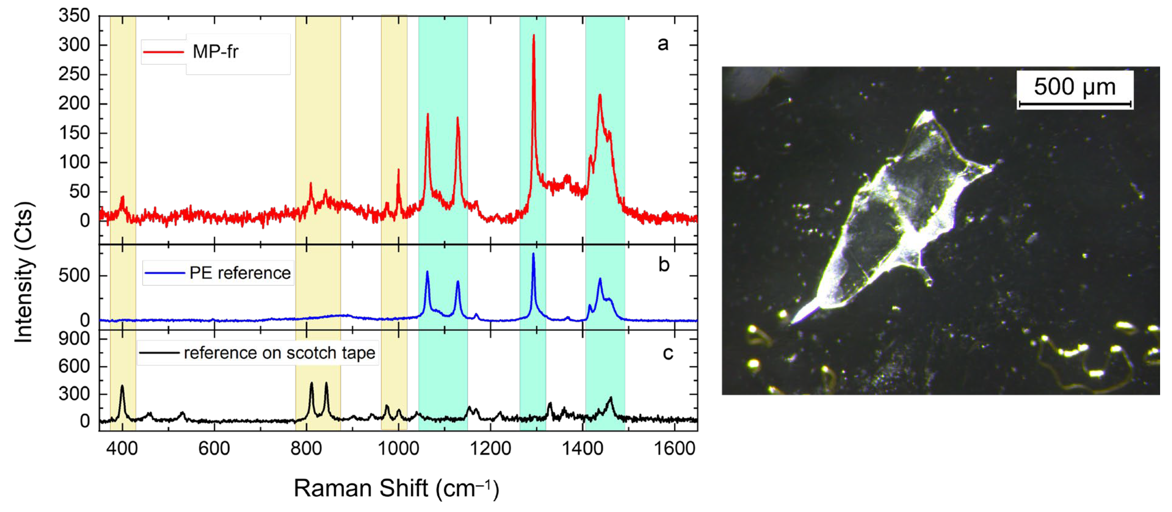 Animals 14 00618 g005