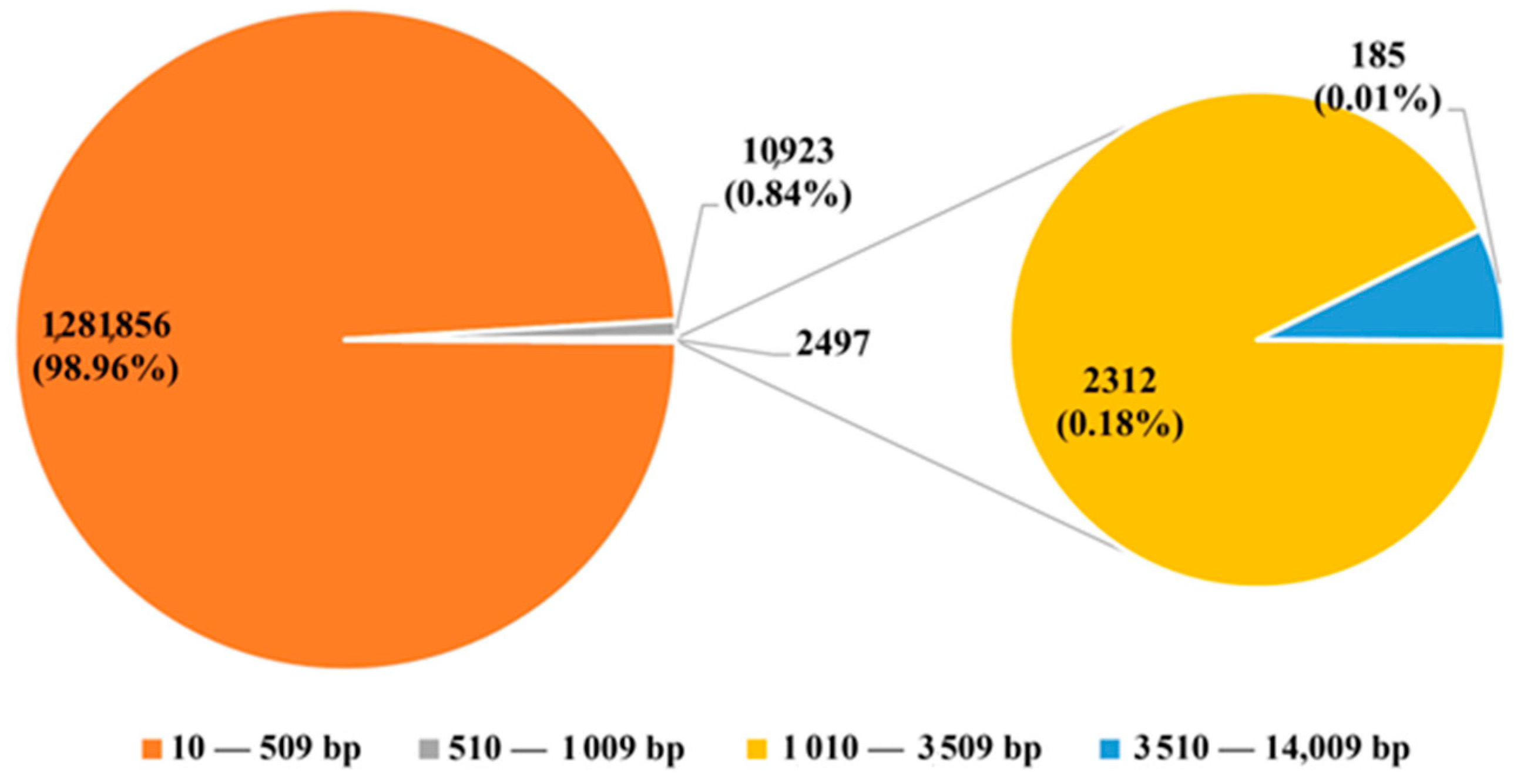 Animals 14 00621 g001 Animals 14 00621 g001