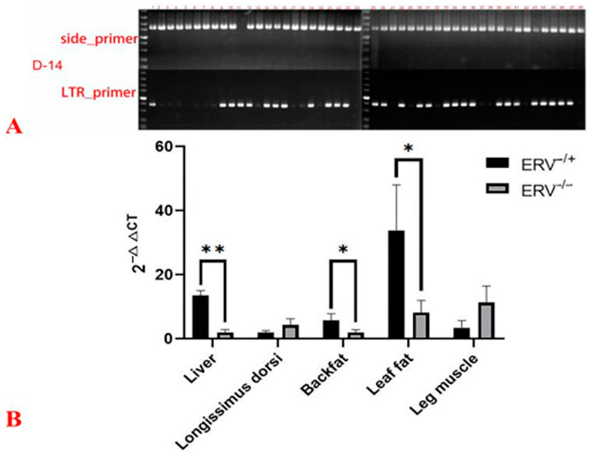 Animals 14 00621 g002 Animals 14 00621 g002