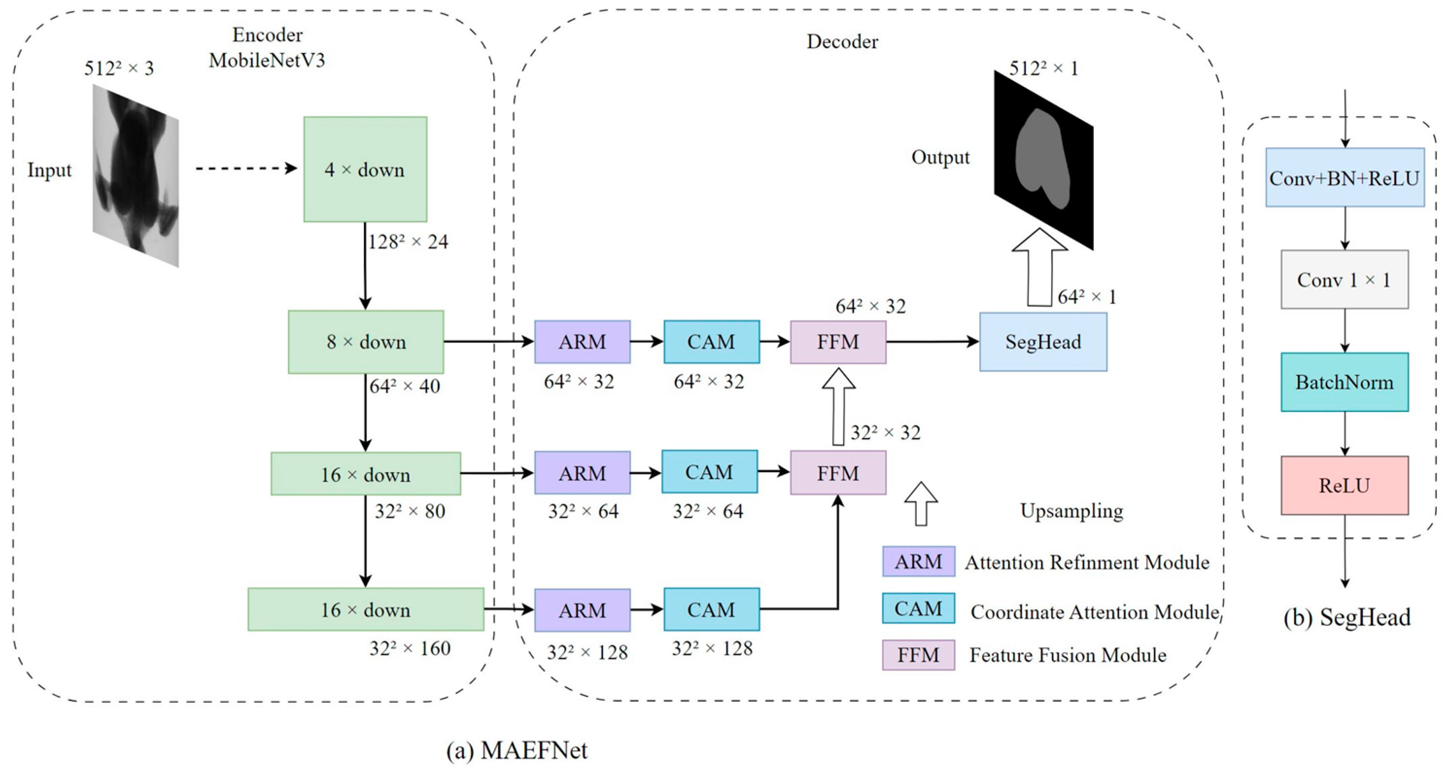 Animals 14 00628 g004