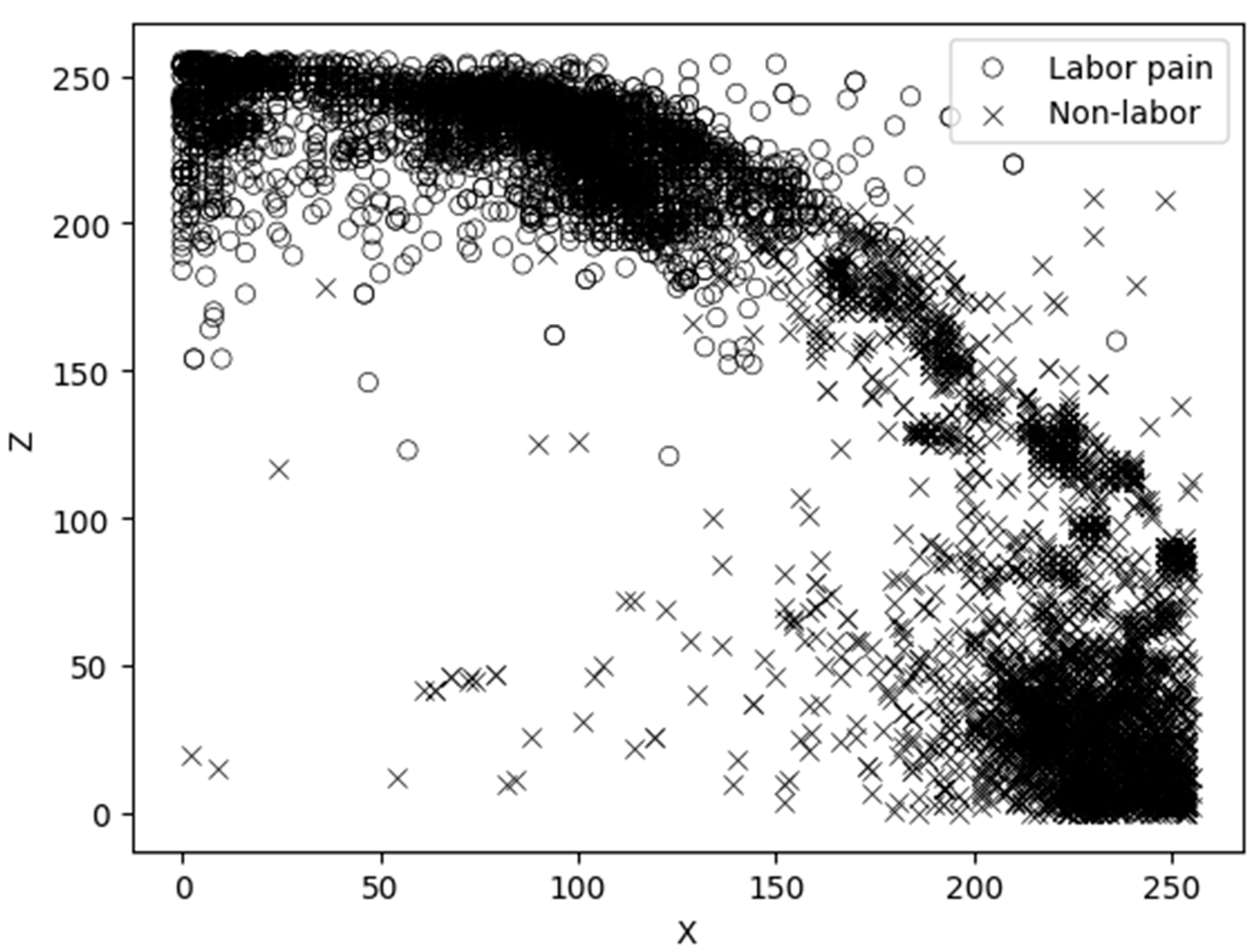 Animals 14 00634 g003