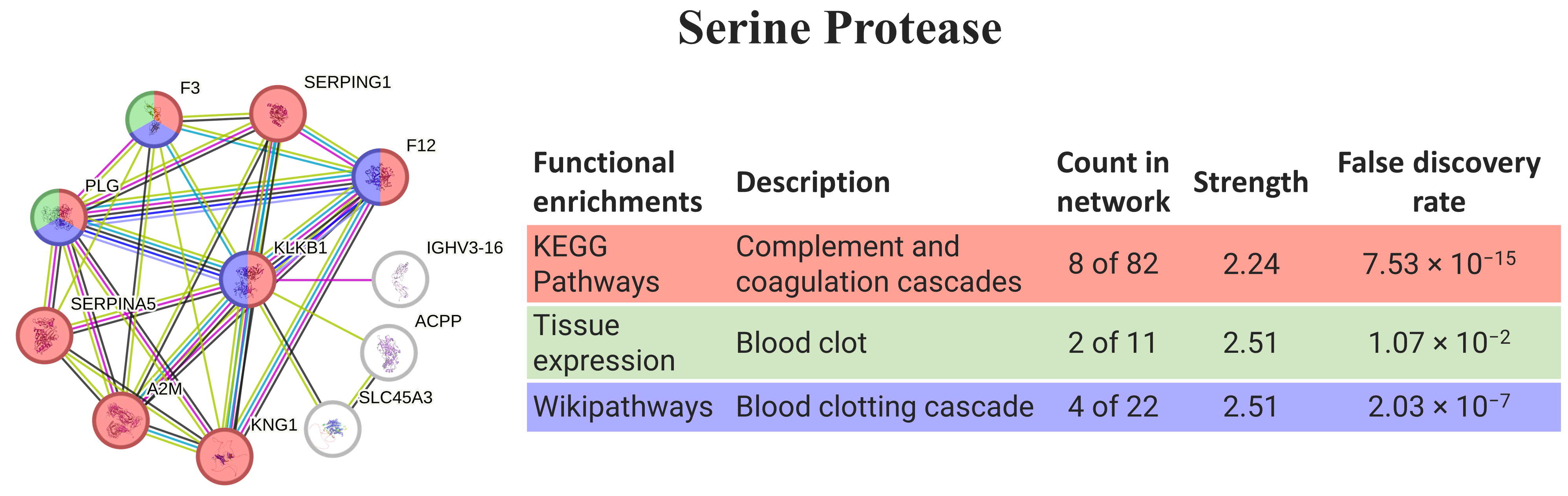 Animals 14 00635 g004