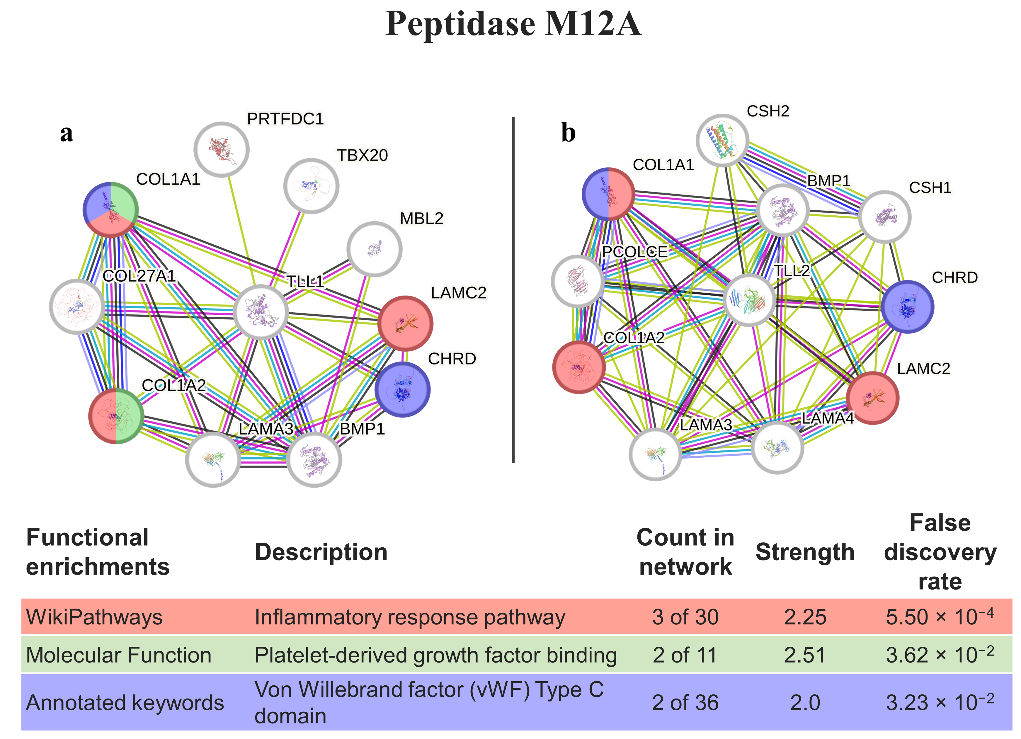 Animals 14 00635 g005