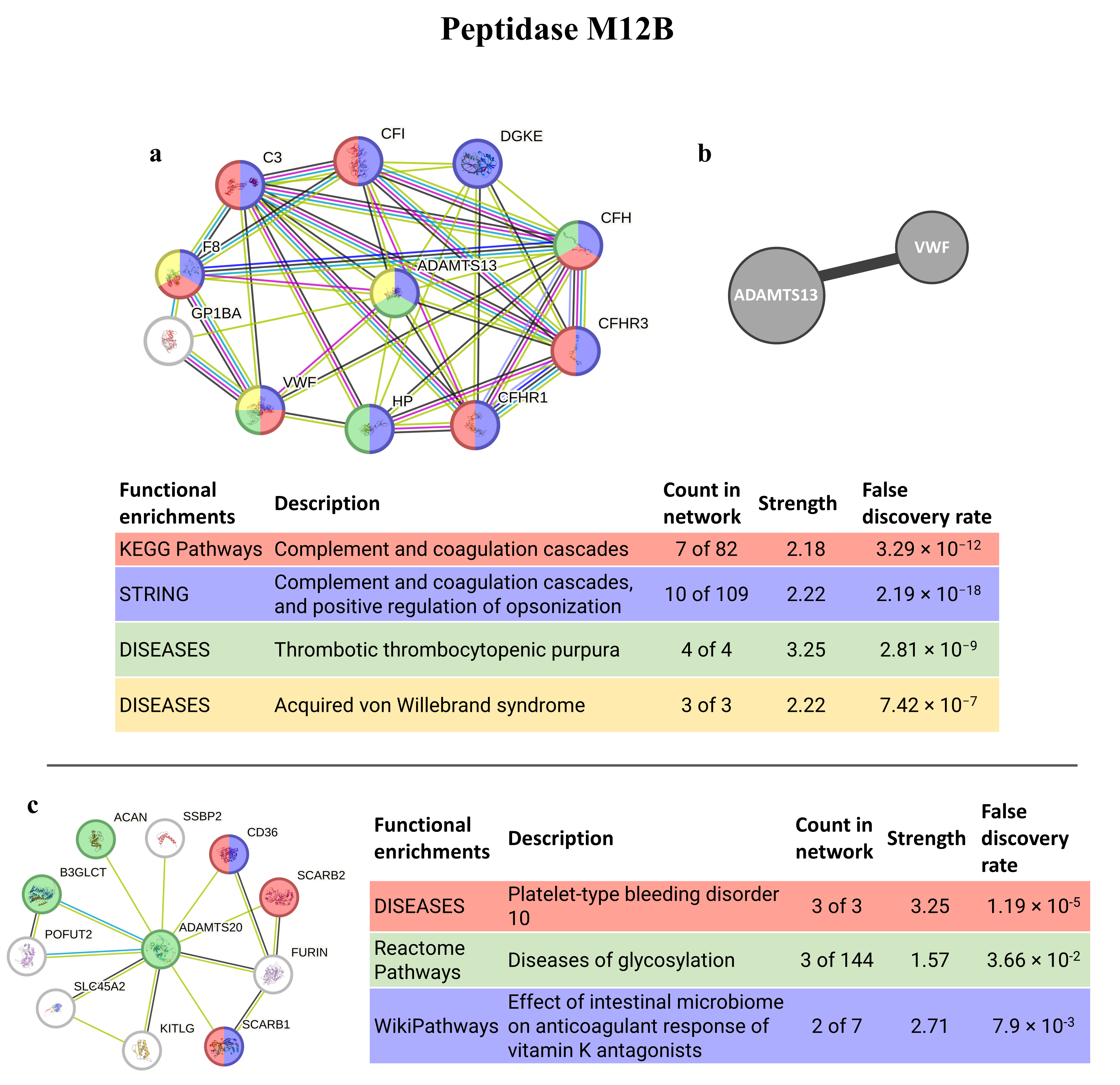 Animals 14 00635 g007