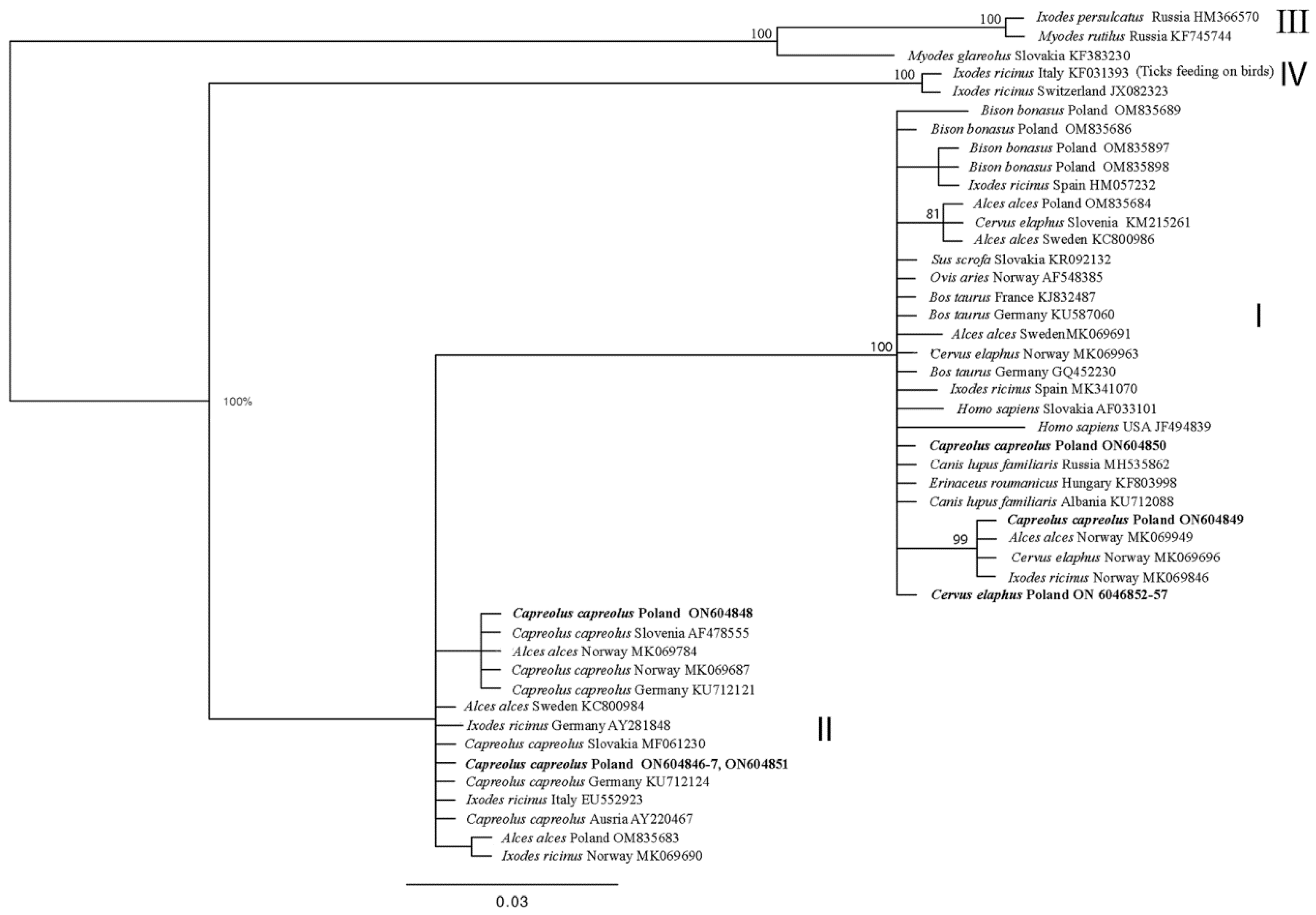 Animals 14 00637 g001 Animals 14 00637 g001