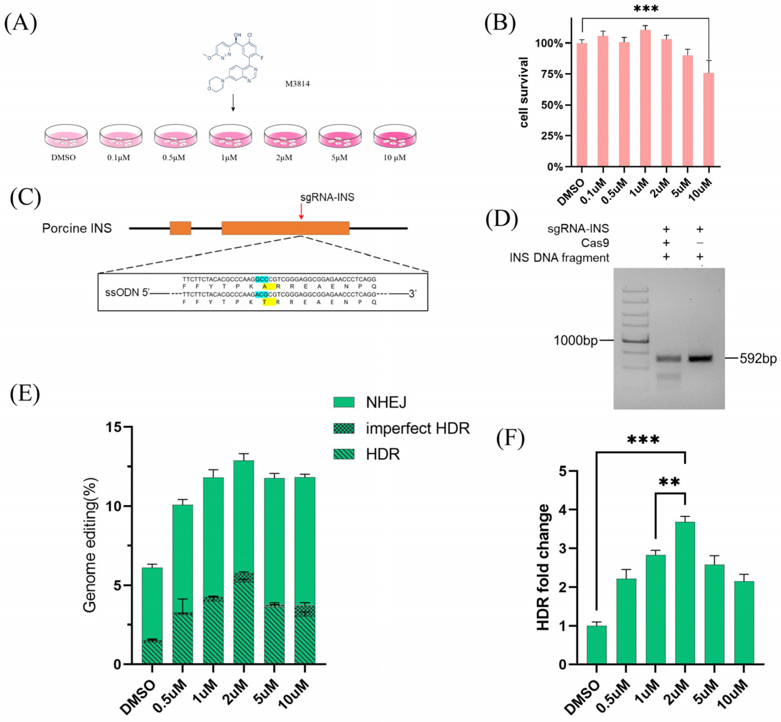 その他 cookie BERING（ベーリング）の「チャリティーモデル グロッシーブルー