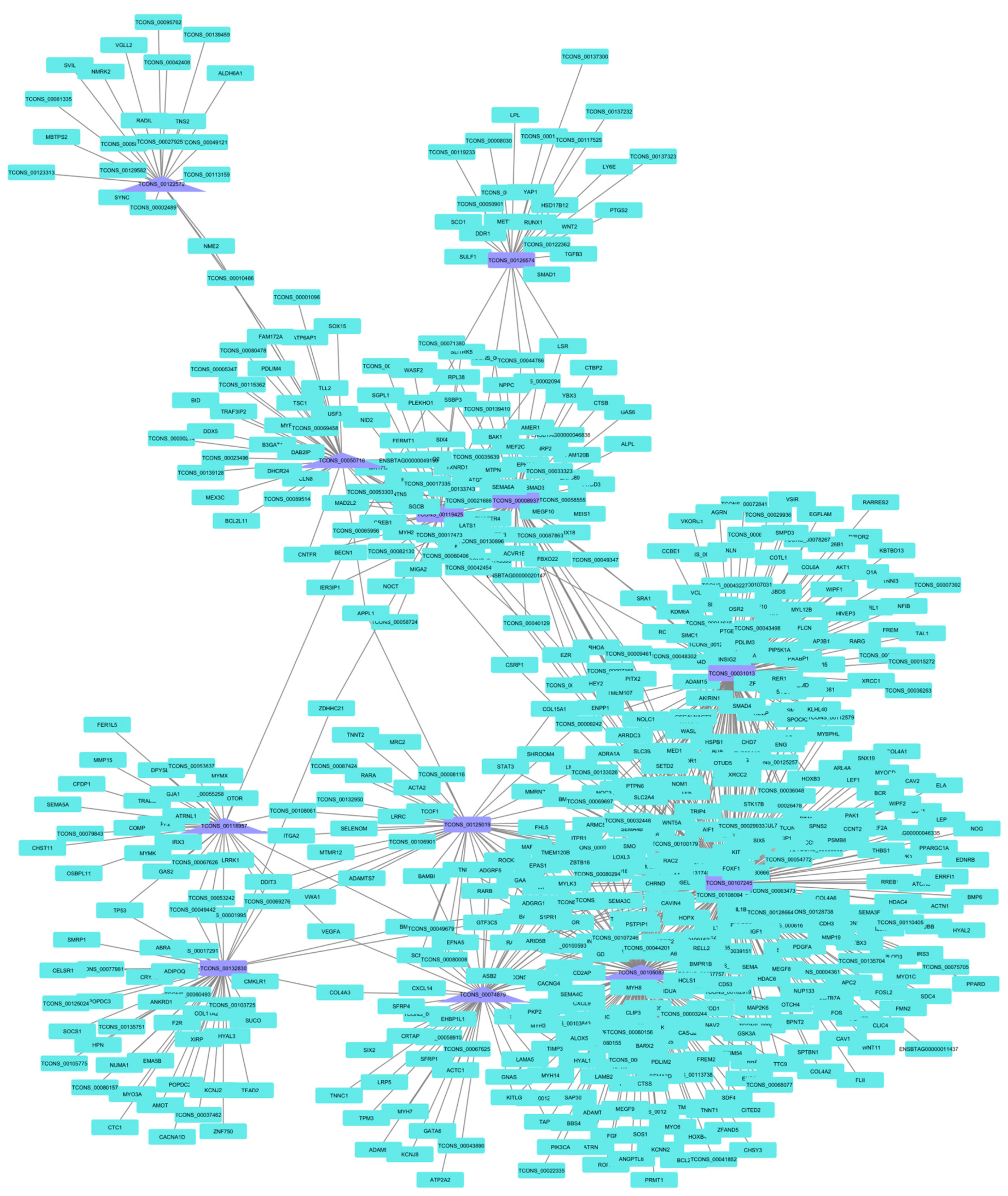 Animals 14 00652 g003