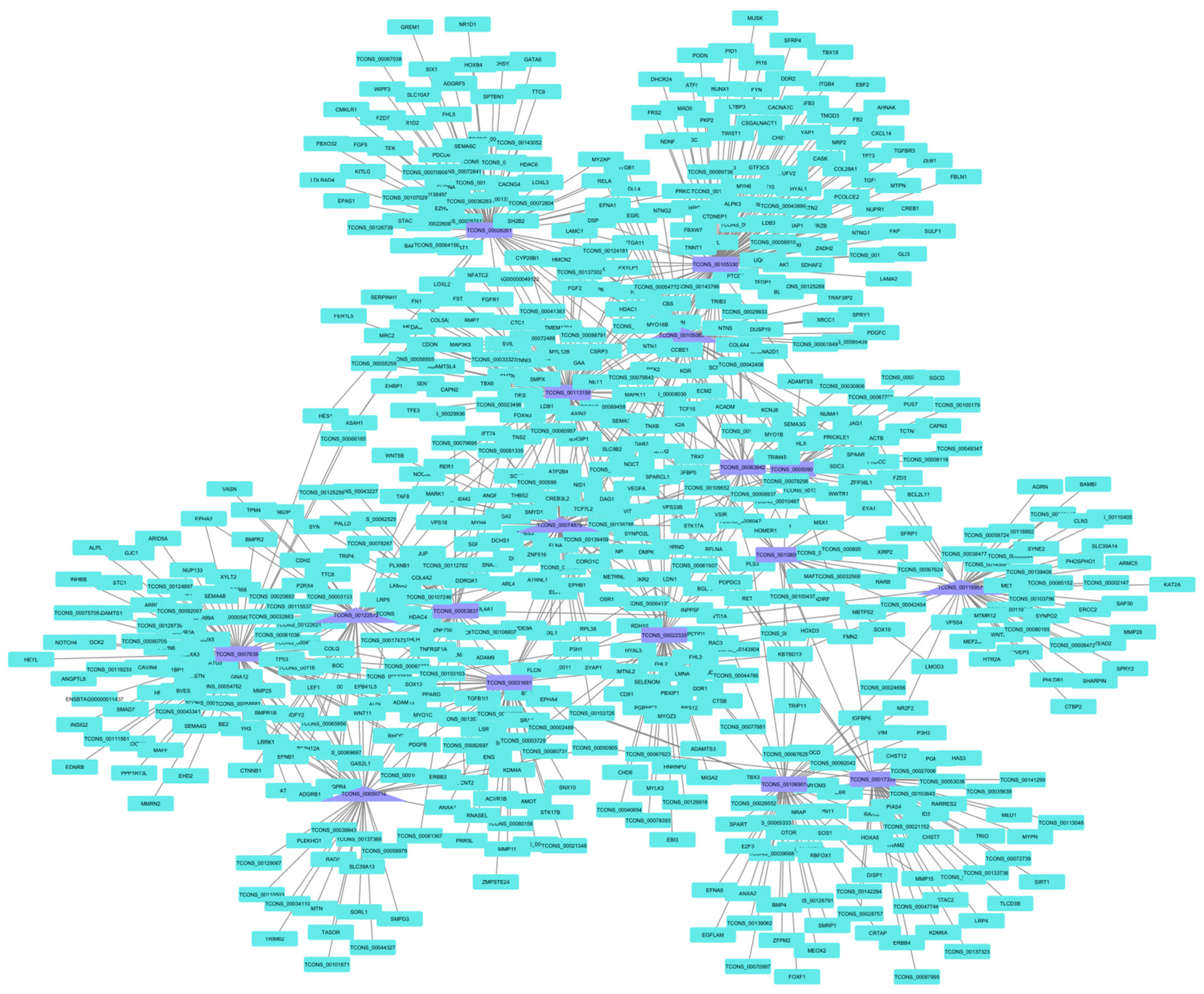 Animals 14 00652 g004