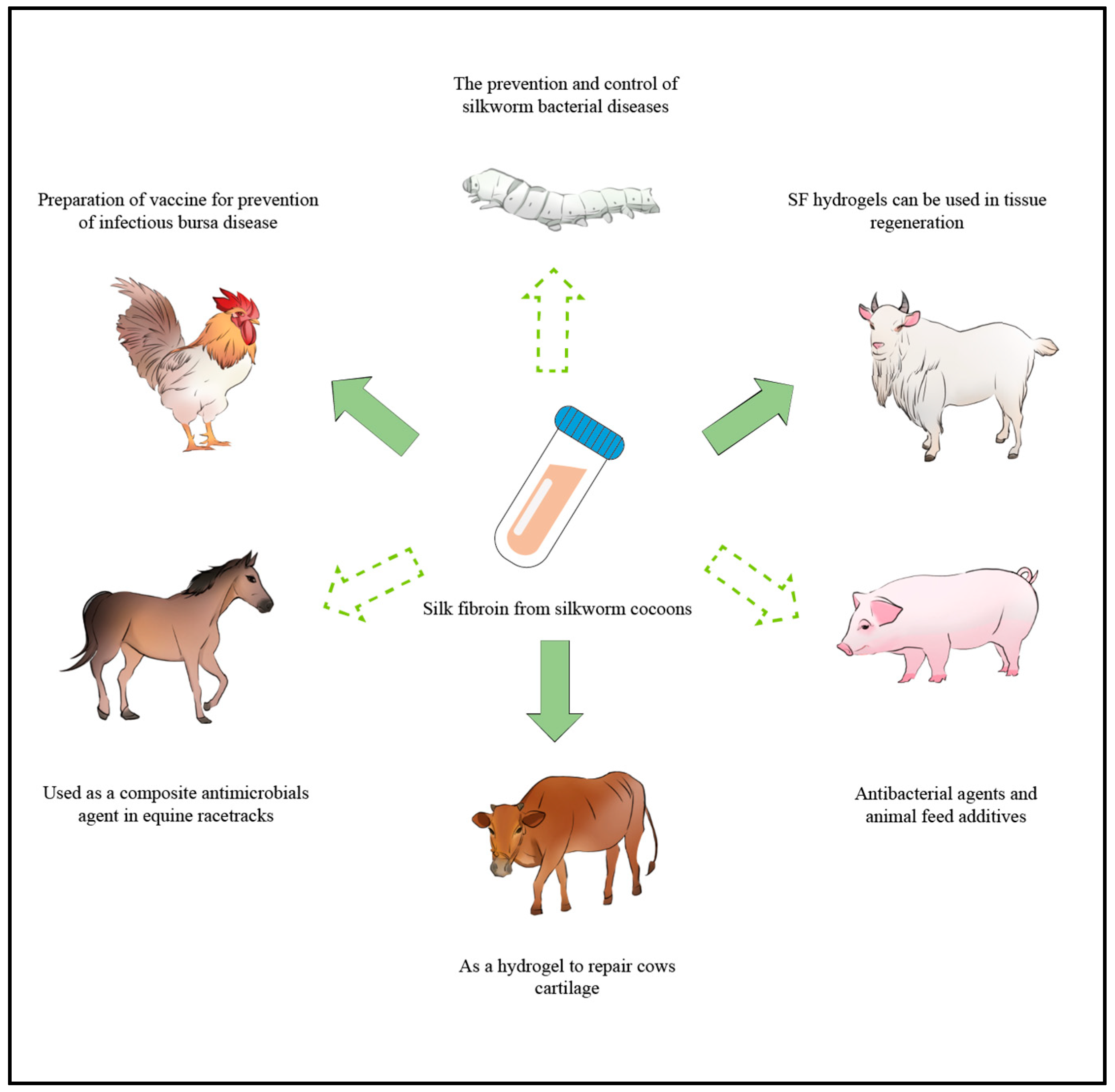 Animals 14 00655 g002