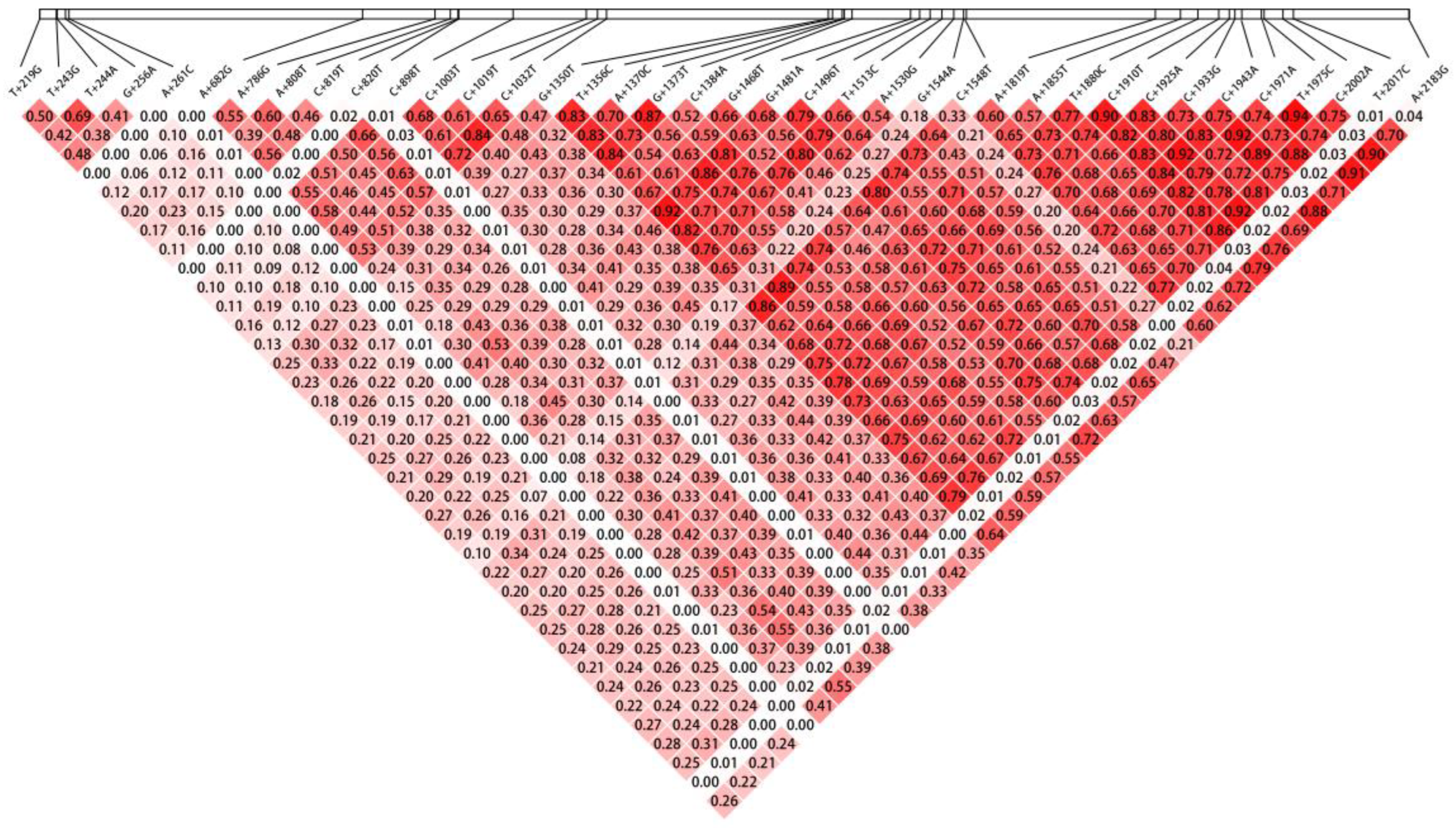 Animals 14 00666 g001