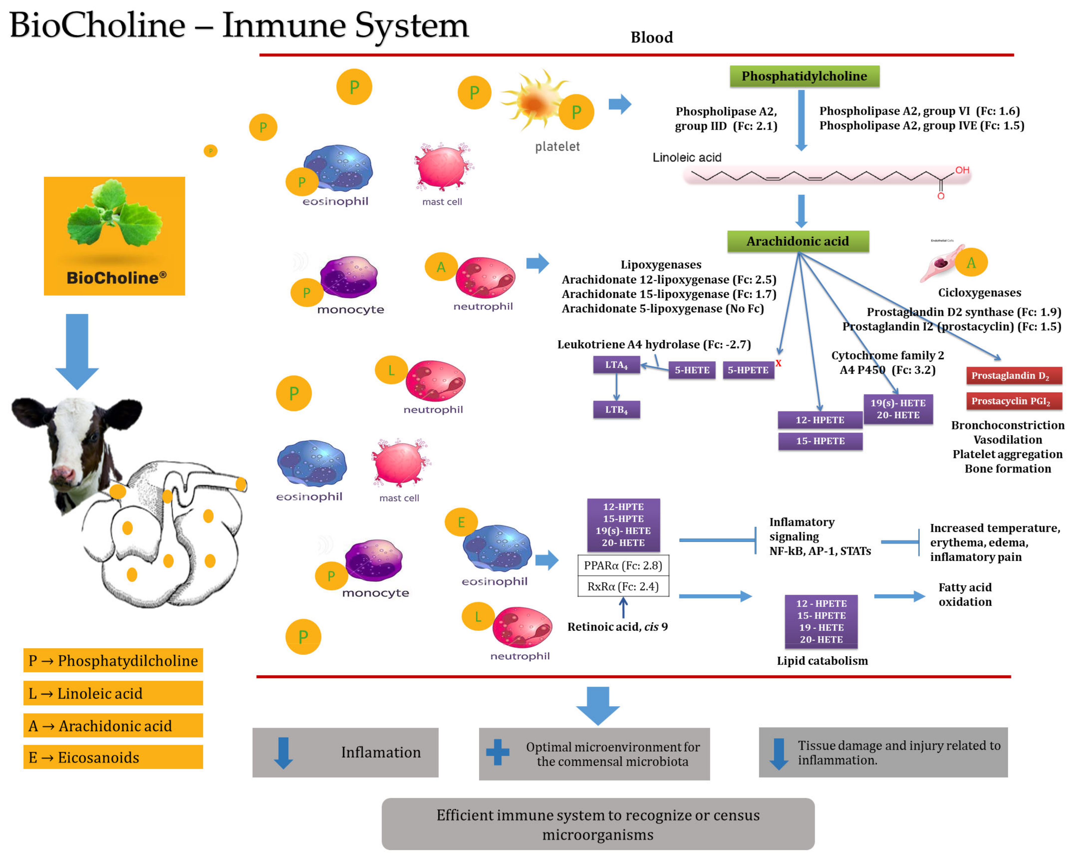 Animals 14 00667 g003