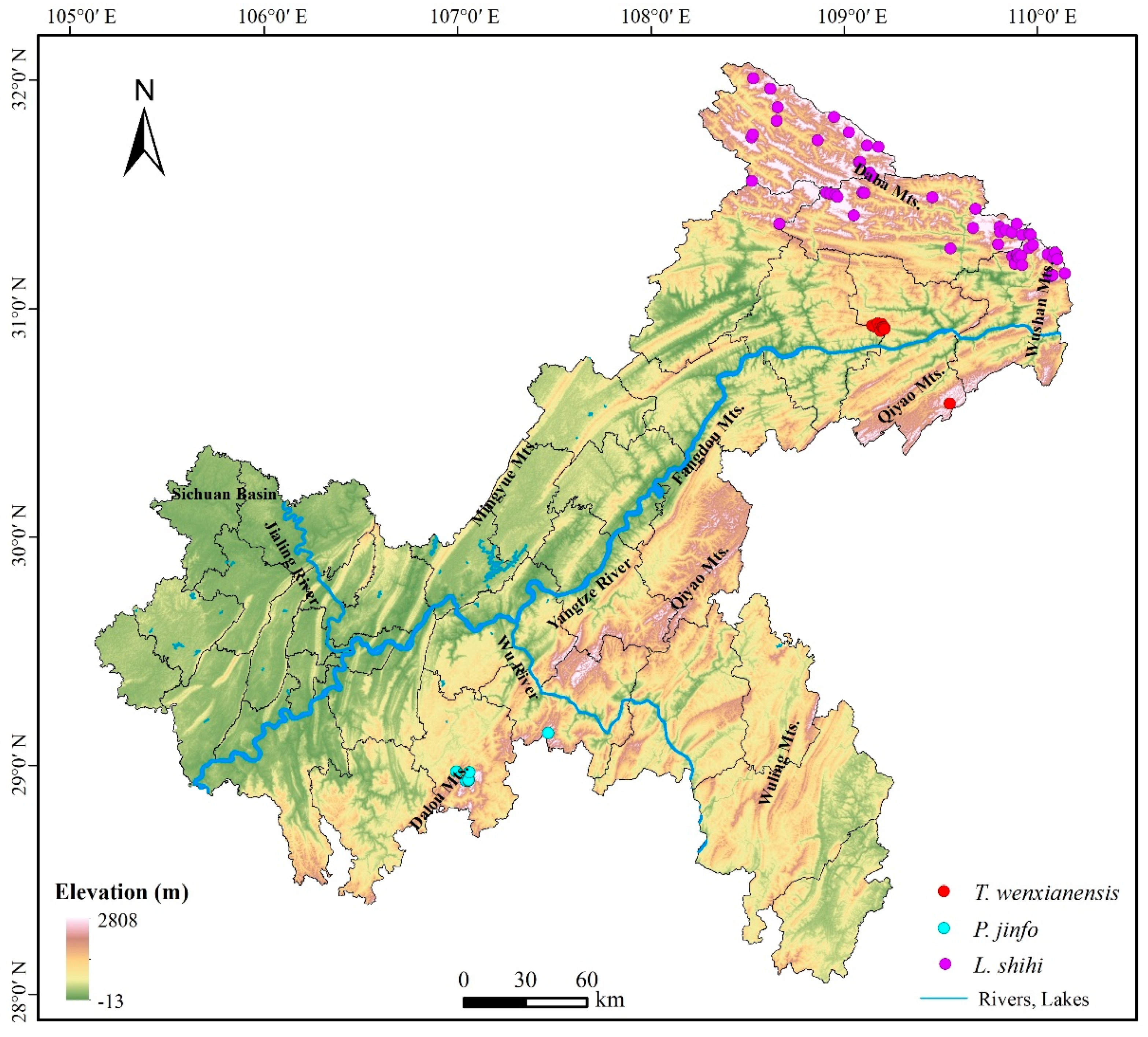 Animals 14 00672 g004