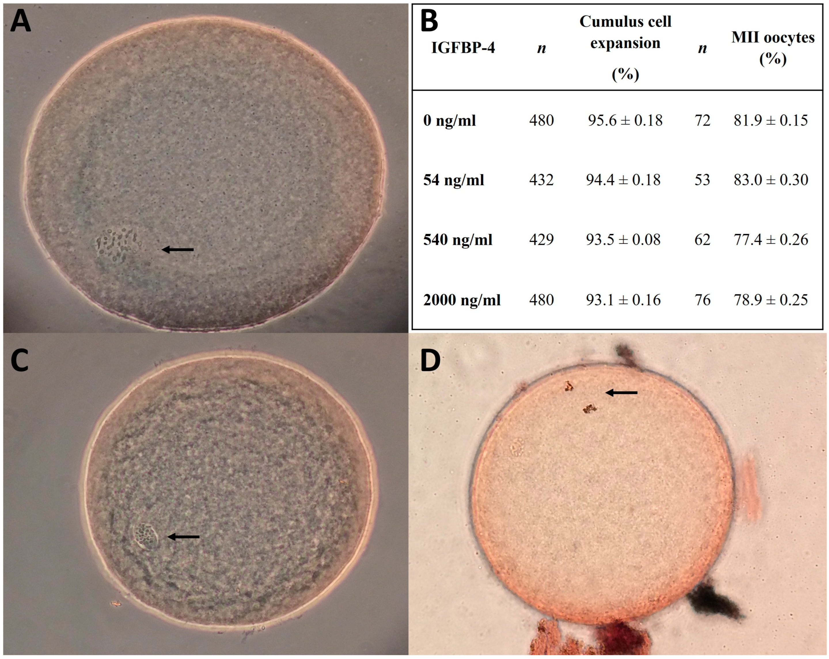 Animals 14 00673 g002 Animals 14 00673 g002