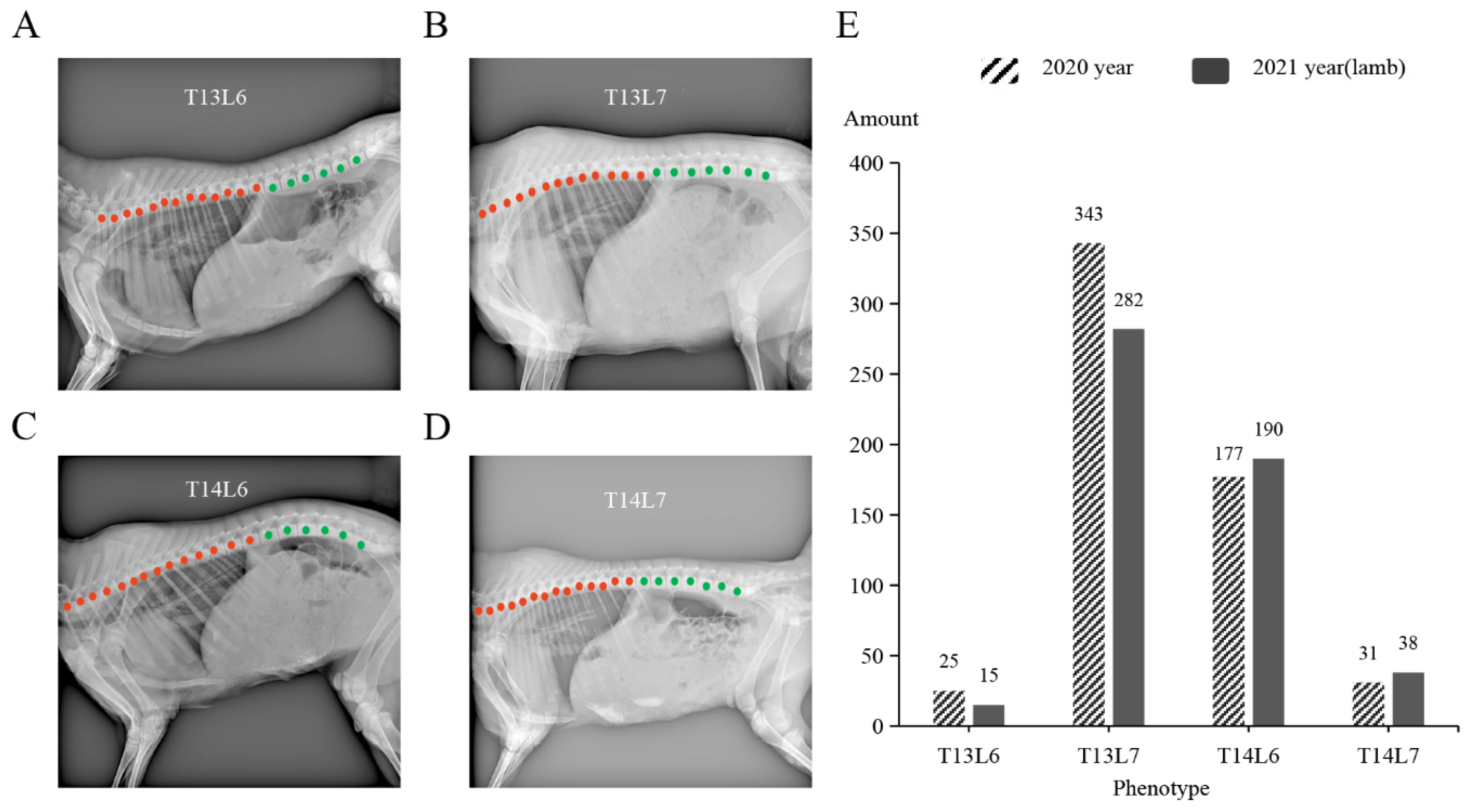 Animals 14 00677 g001 Animals 14 00677 g001