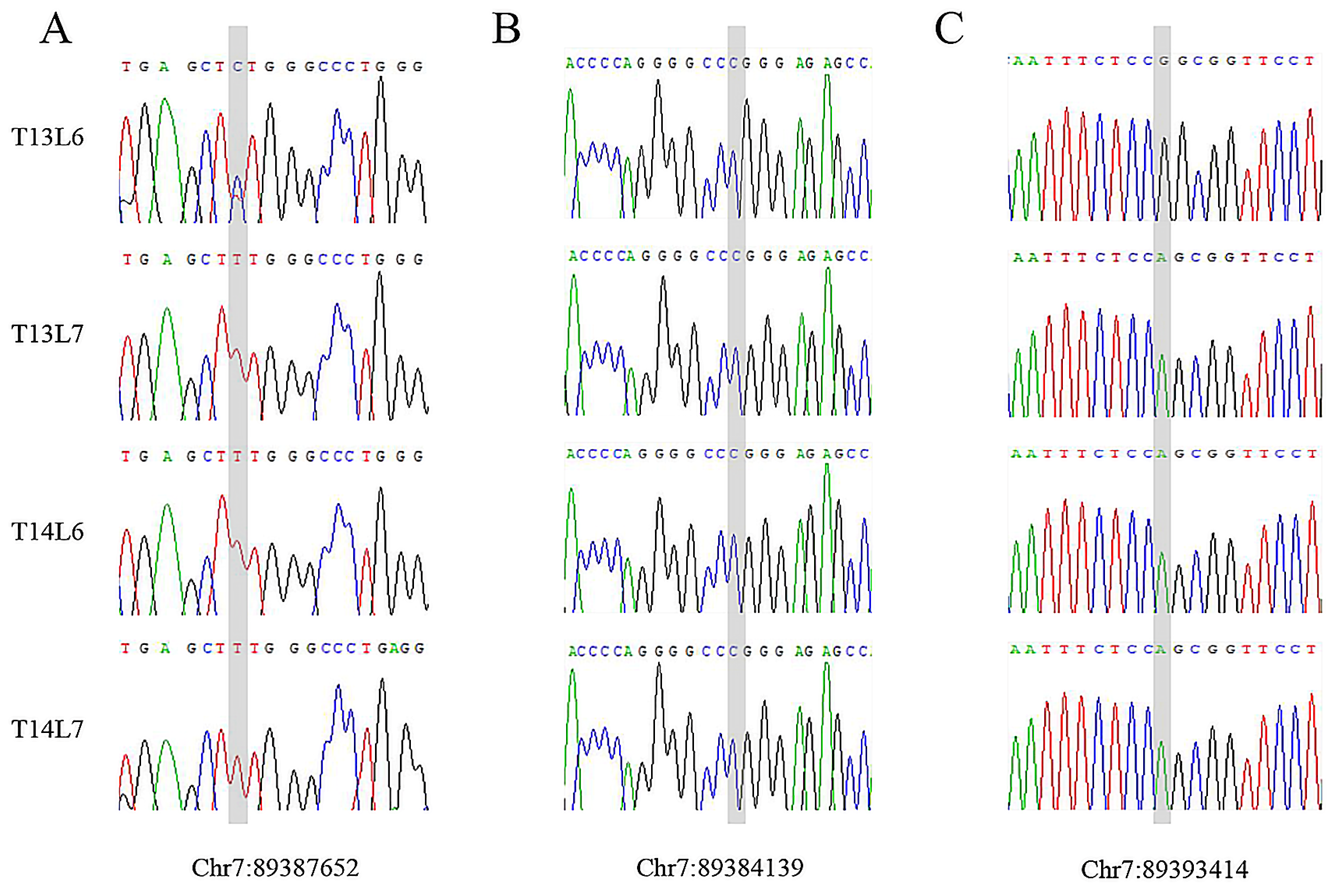 Animals 14 00677 g005 Animals 14 00677 g005