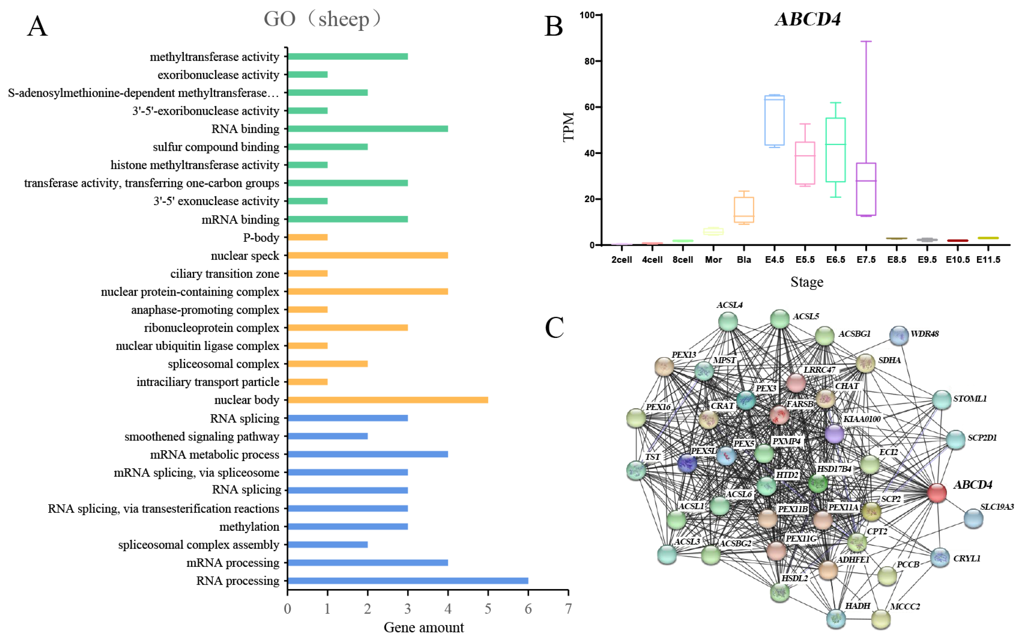 Animals 14 00677 g006 Animals 14 00677 g006