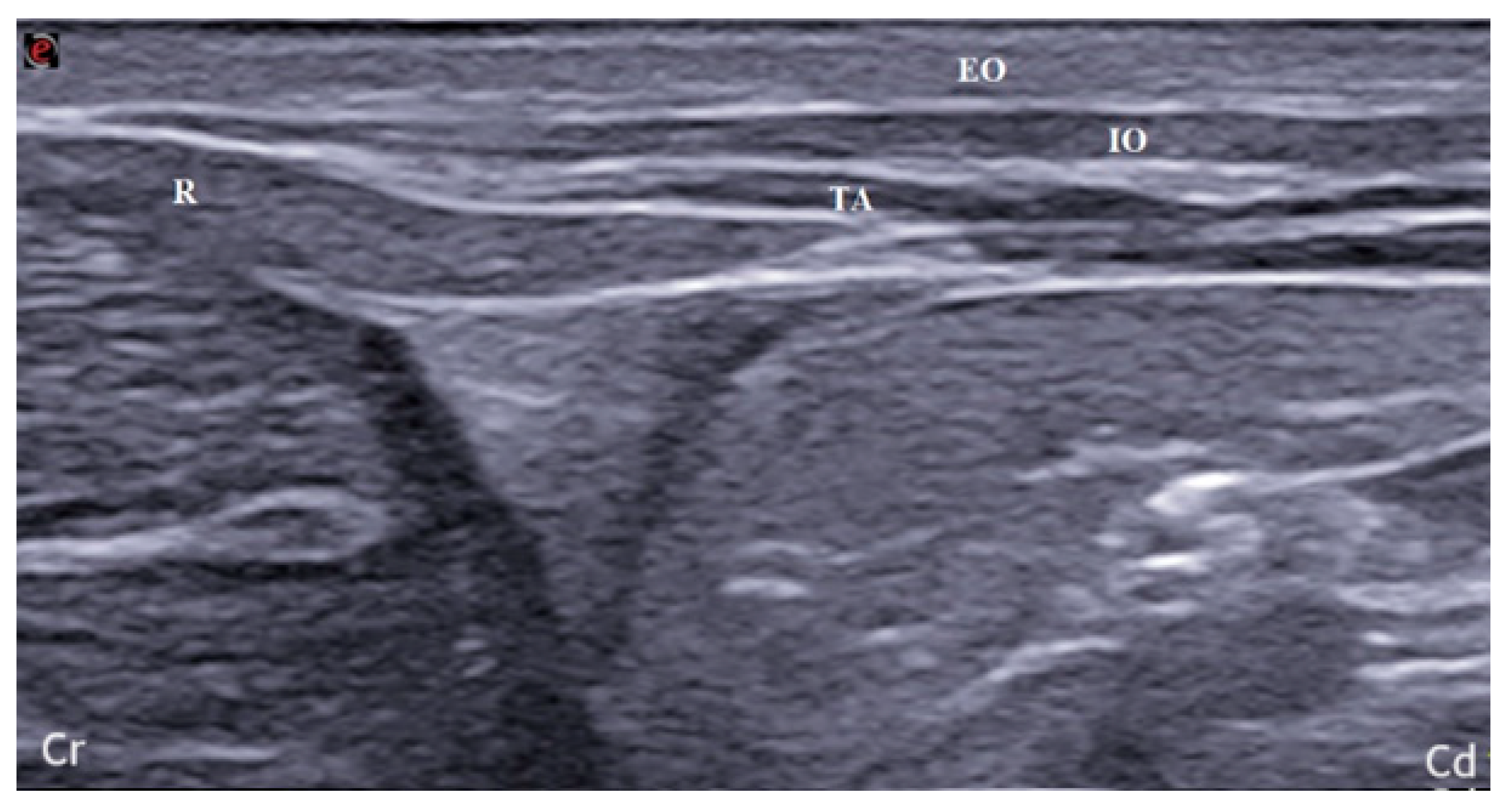 Animals 14 00684 g003