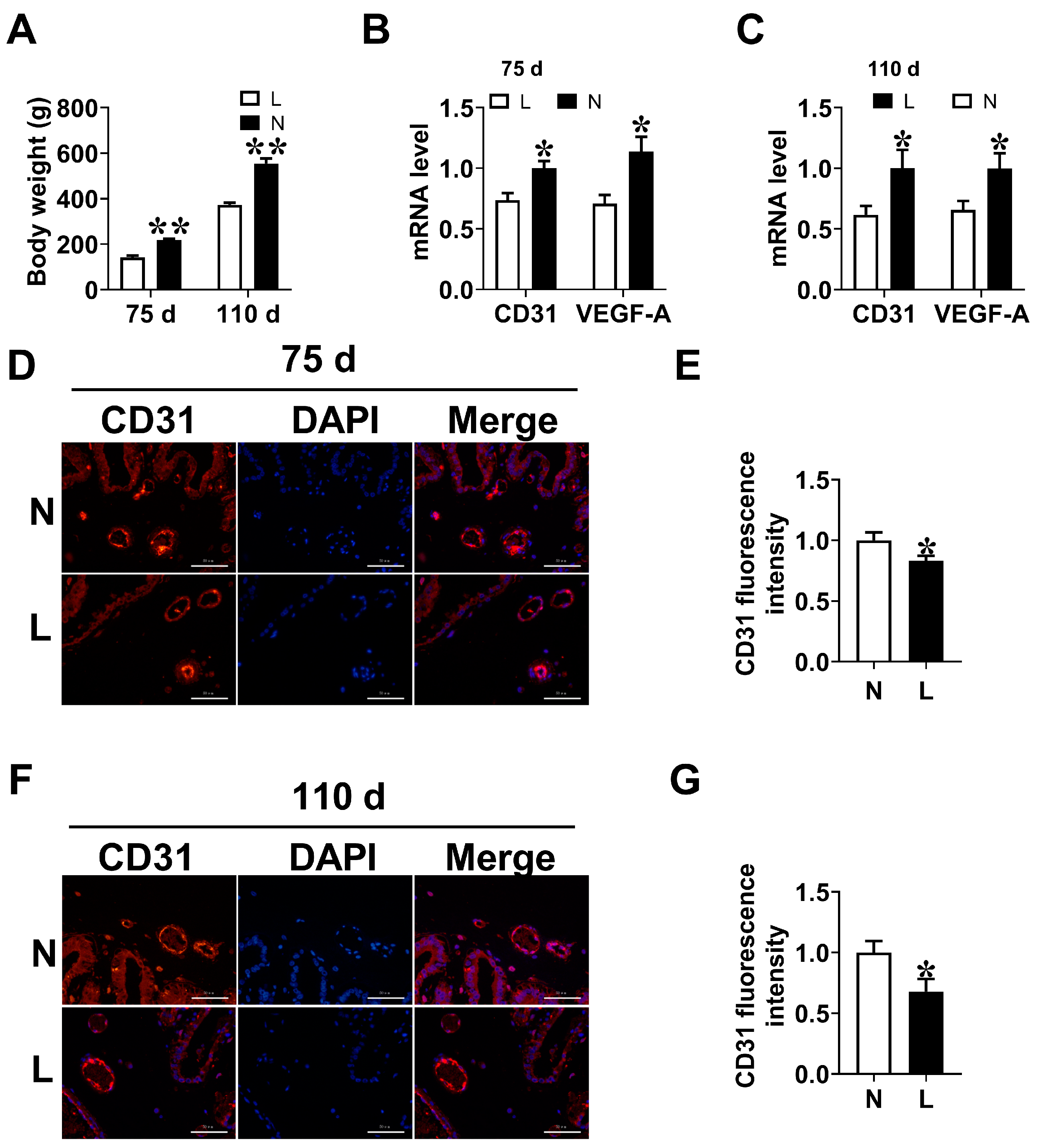 Animals 14 00689 g002